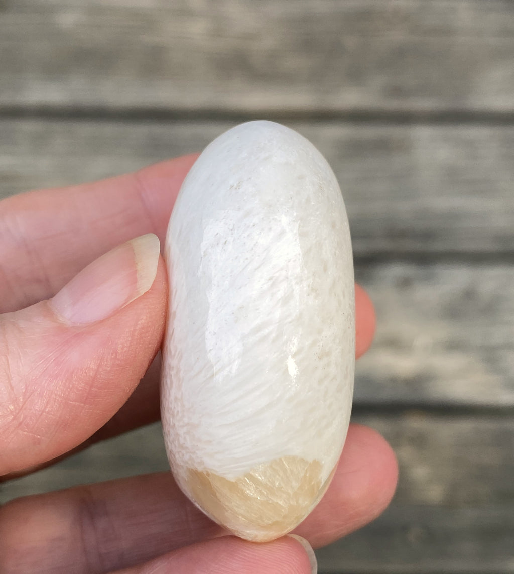 Scolecite White Palm Stone  Peace Relaxation 31601S
