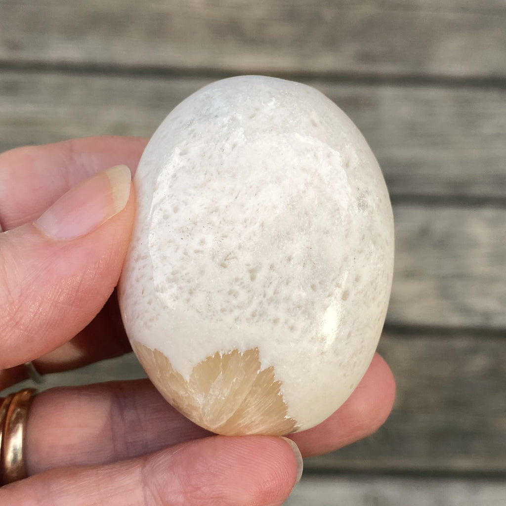 Scolecite White Palm Stone  Peace Relaxation 31601S