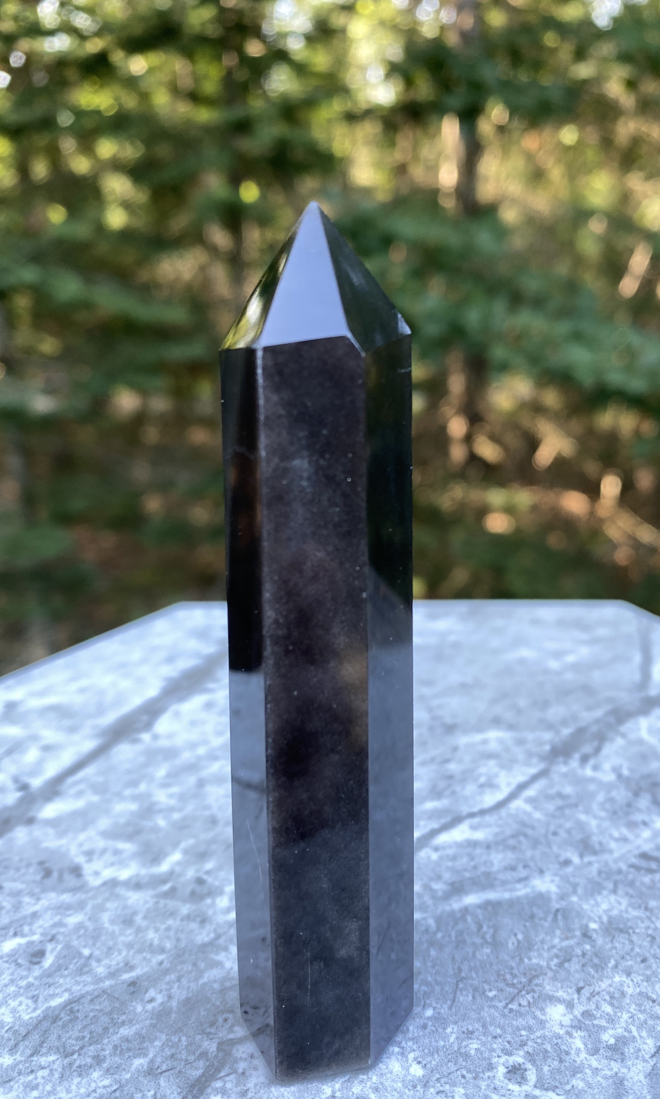 Obsidian Silver Sheen  Point  Protection Grounding Success 31603S