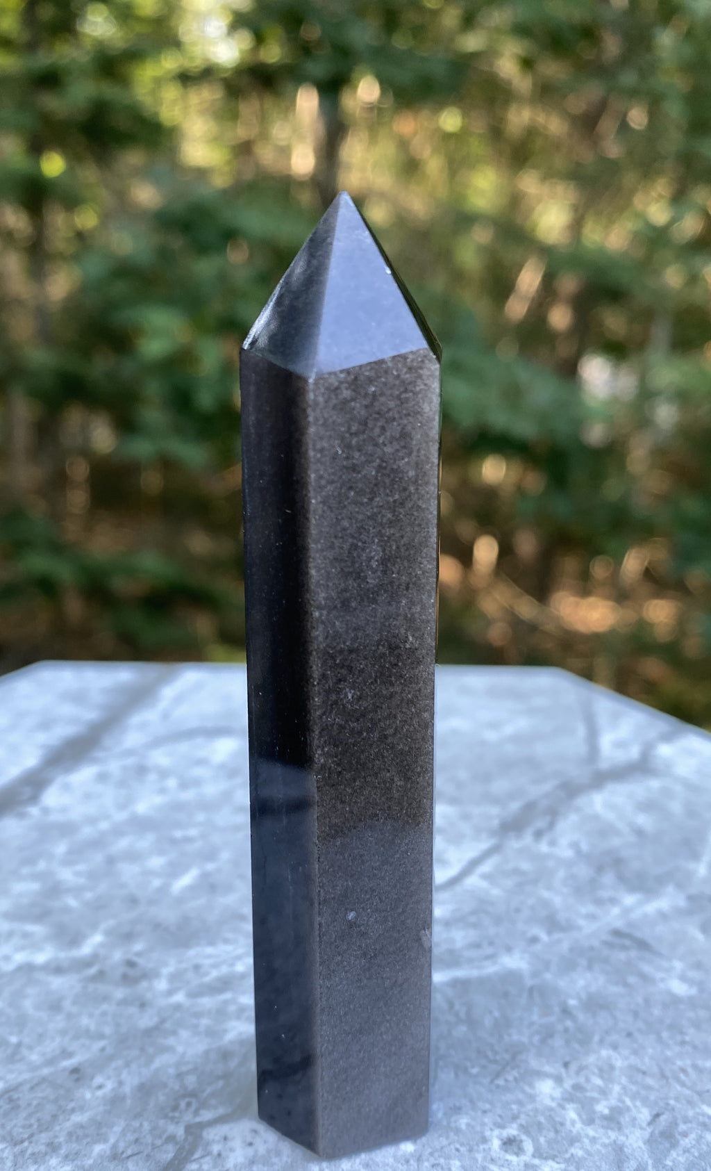 Obsidian Silver Sheen  Point  Protection Grounding Success 31603S