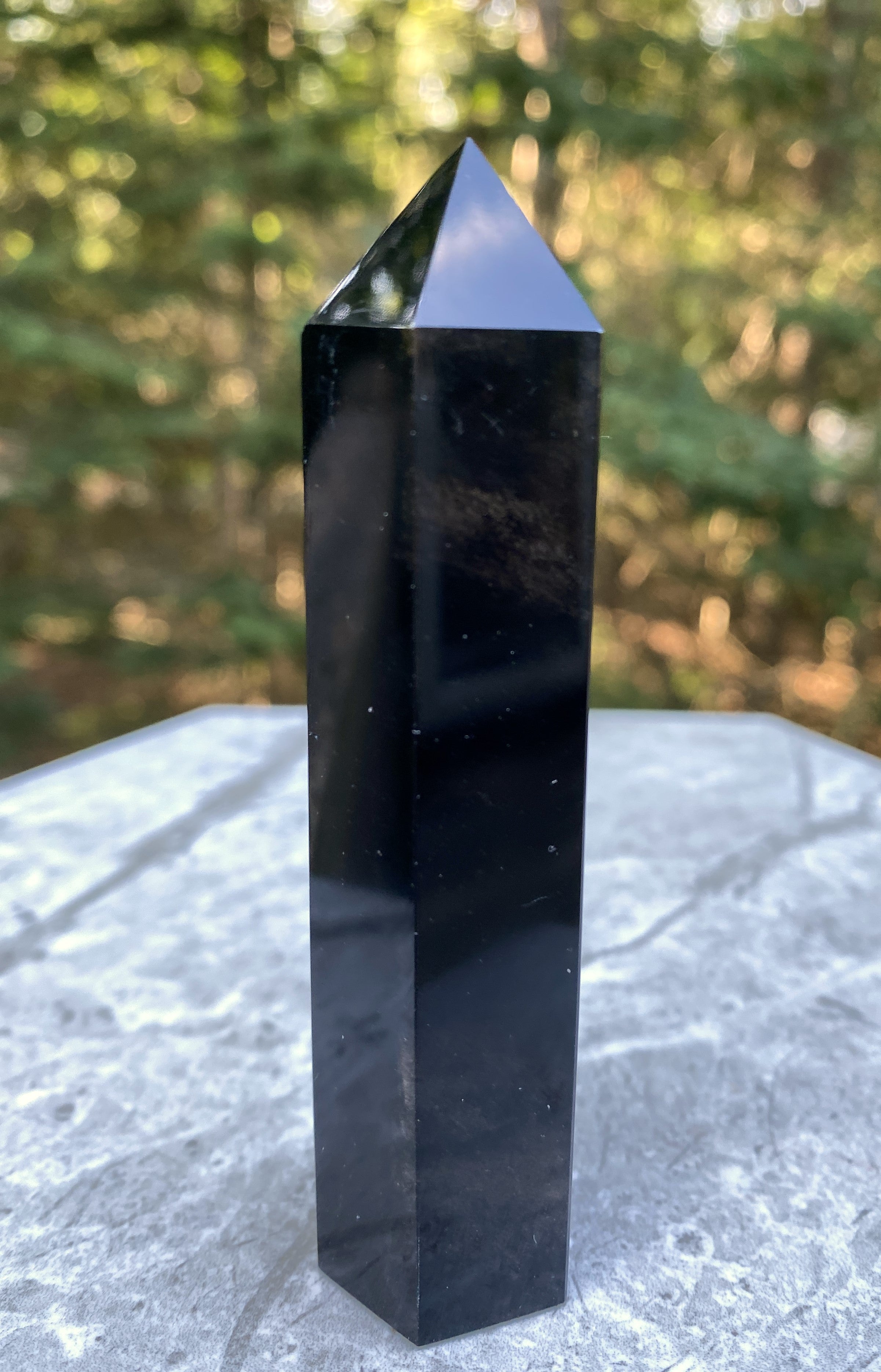 Obsidian Silver Sheen  Point Tower  Protection Grounding Success 31604S