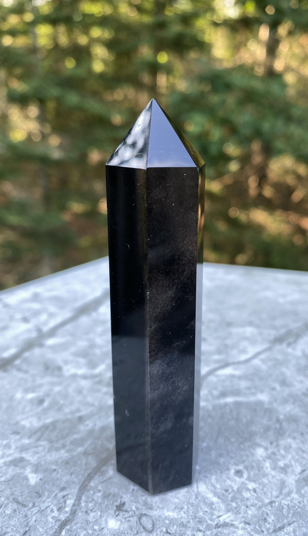 Obsidian Silver Sheen  Point Tower  Protection Grounding Success 31604S