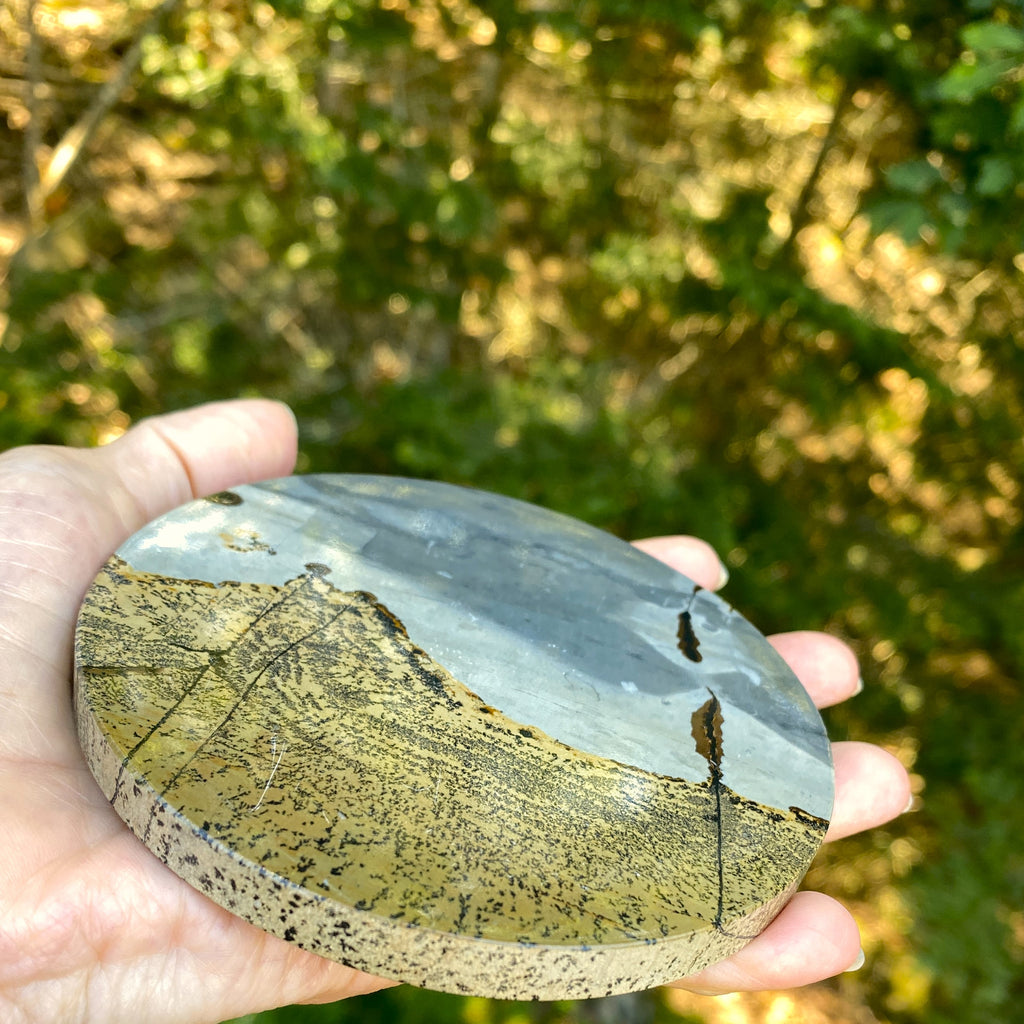 4" Picture Jasper Polished Round Plate Slab with Metal Stand | Brazil