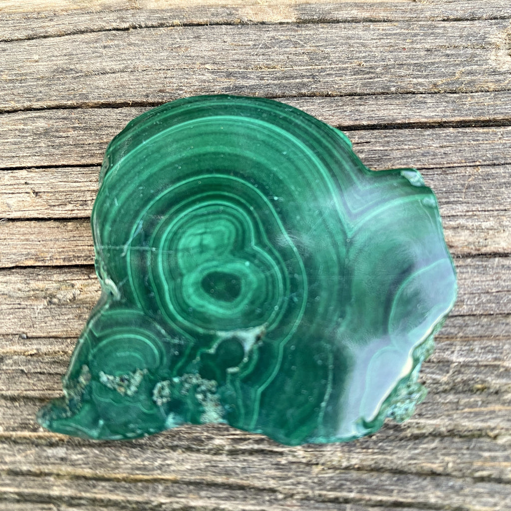 Malachite Slab  Small Palm Stone  Polished  Protection Abundance 31652S