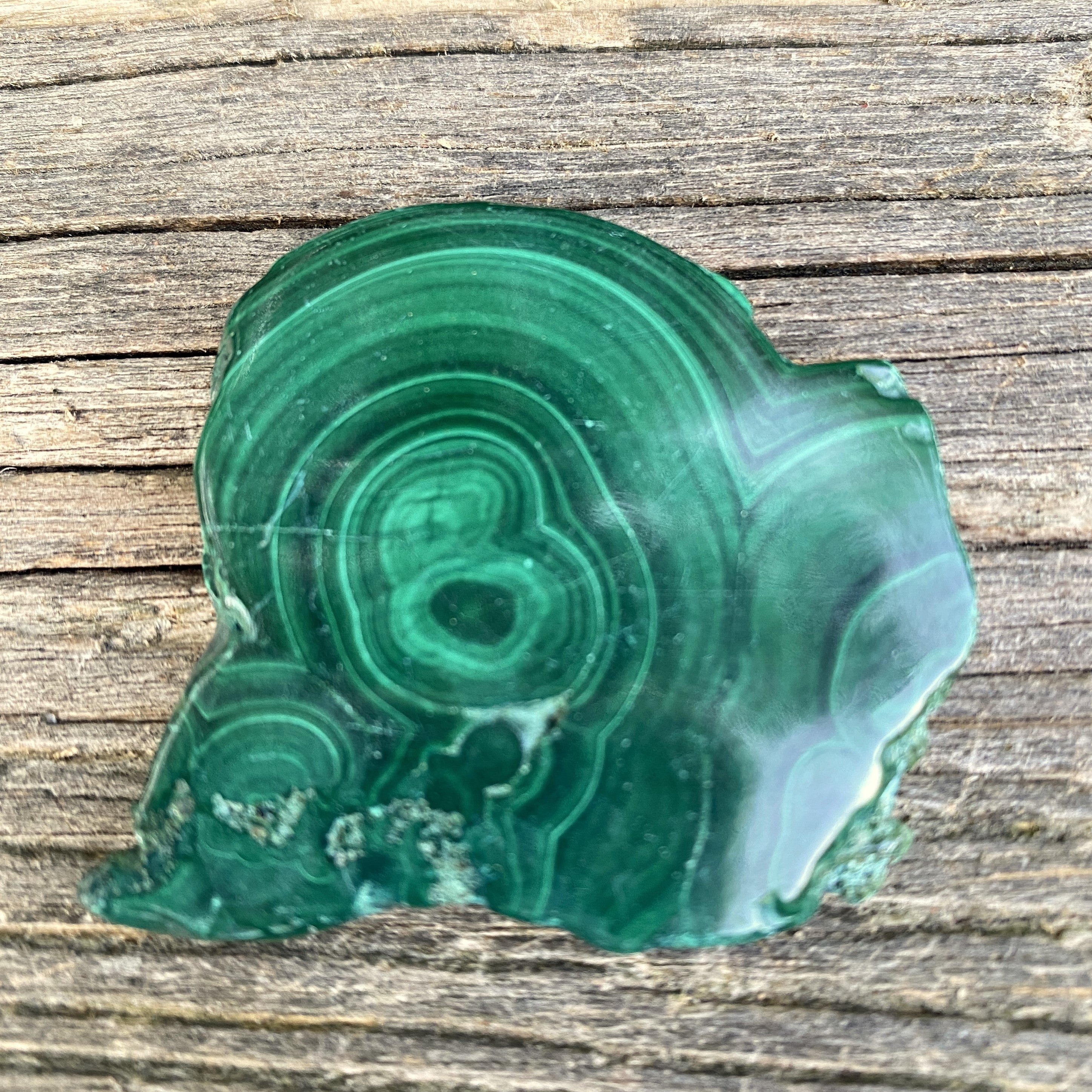 Malachite Slab  Small Palm Stone  Polished  Protection Abundance 31652S
