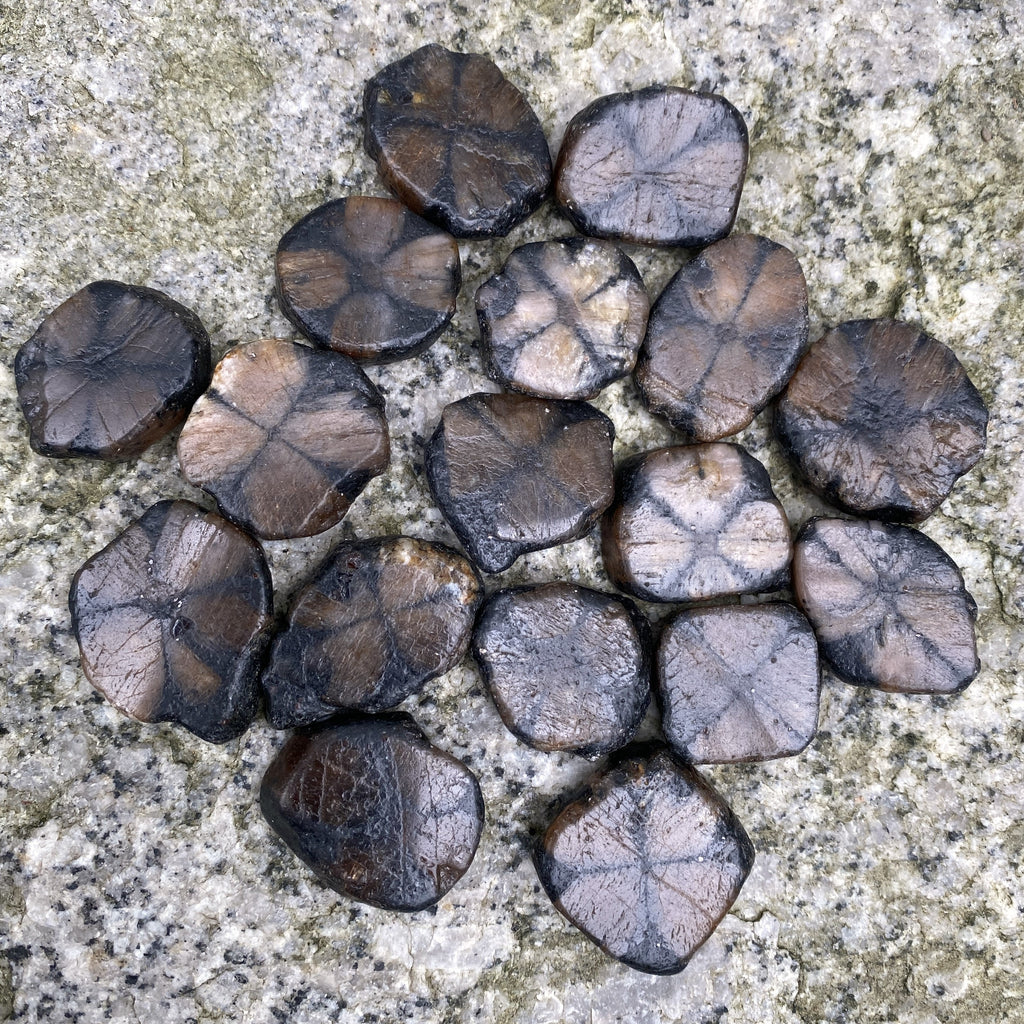 Chiastolite Cross Stone Andalusite  2 pcs  Protection Grounding 31649S