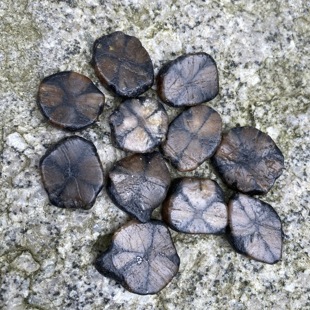 Chiastolite Cross Stone Andalusite  2 pcs  Protection Grounding 31649S