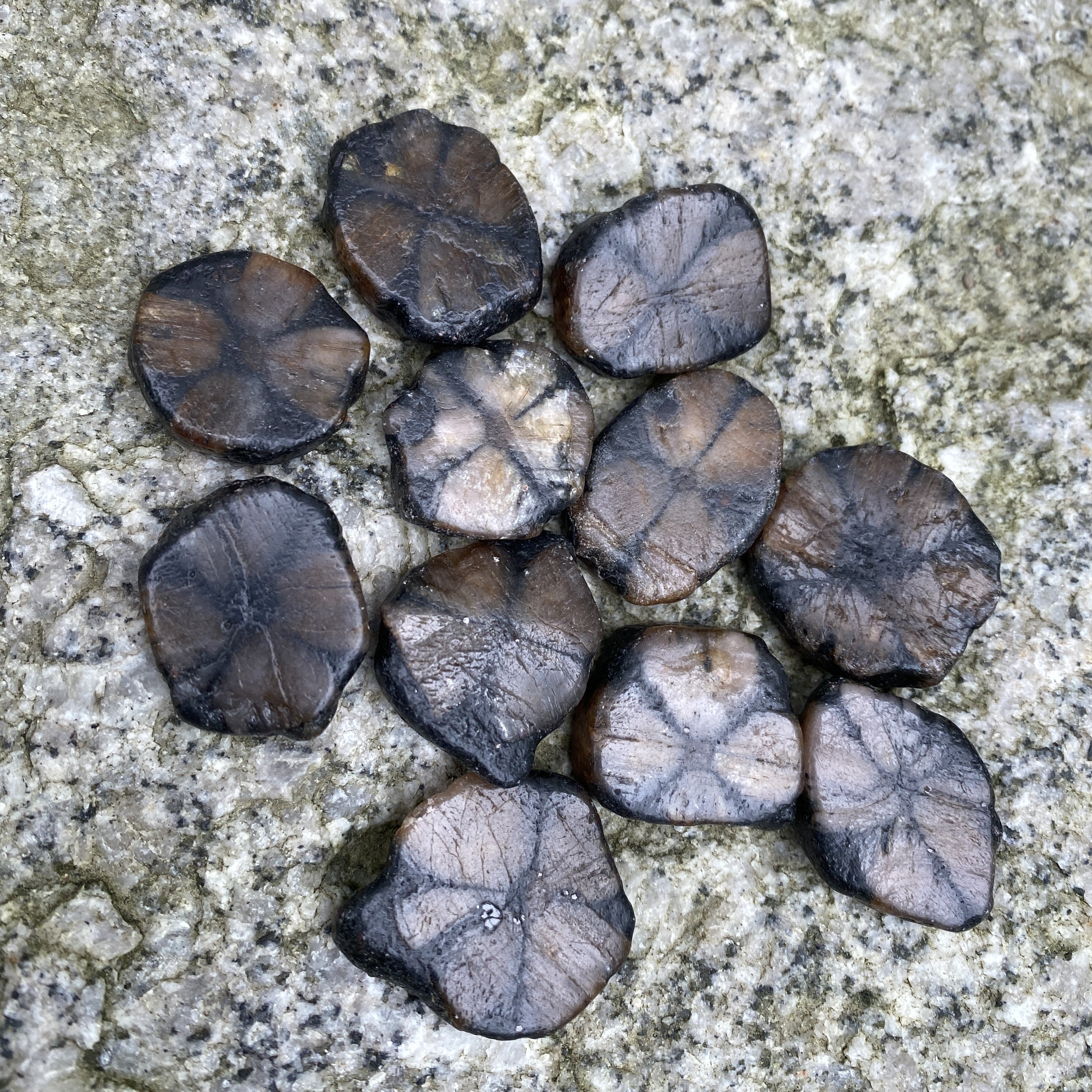 Chiastolite Cross Stone Andalusite  2 pcs  Protection Grounding 31649S