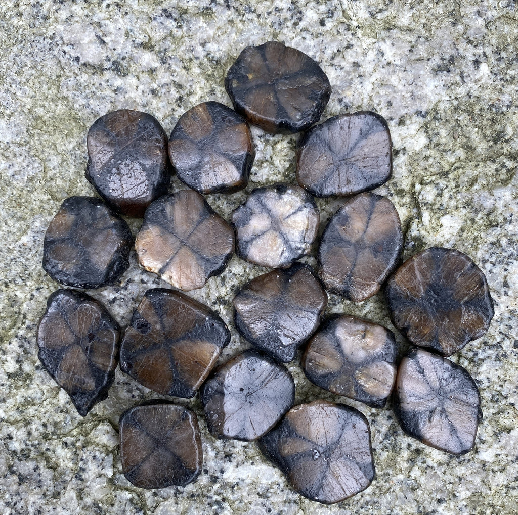 Chiastolite Cross Stone Andalusite  2 pcs  Protection Grounding 31649S