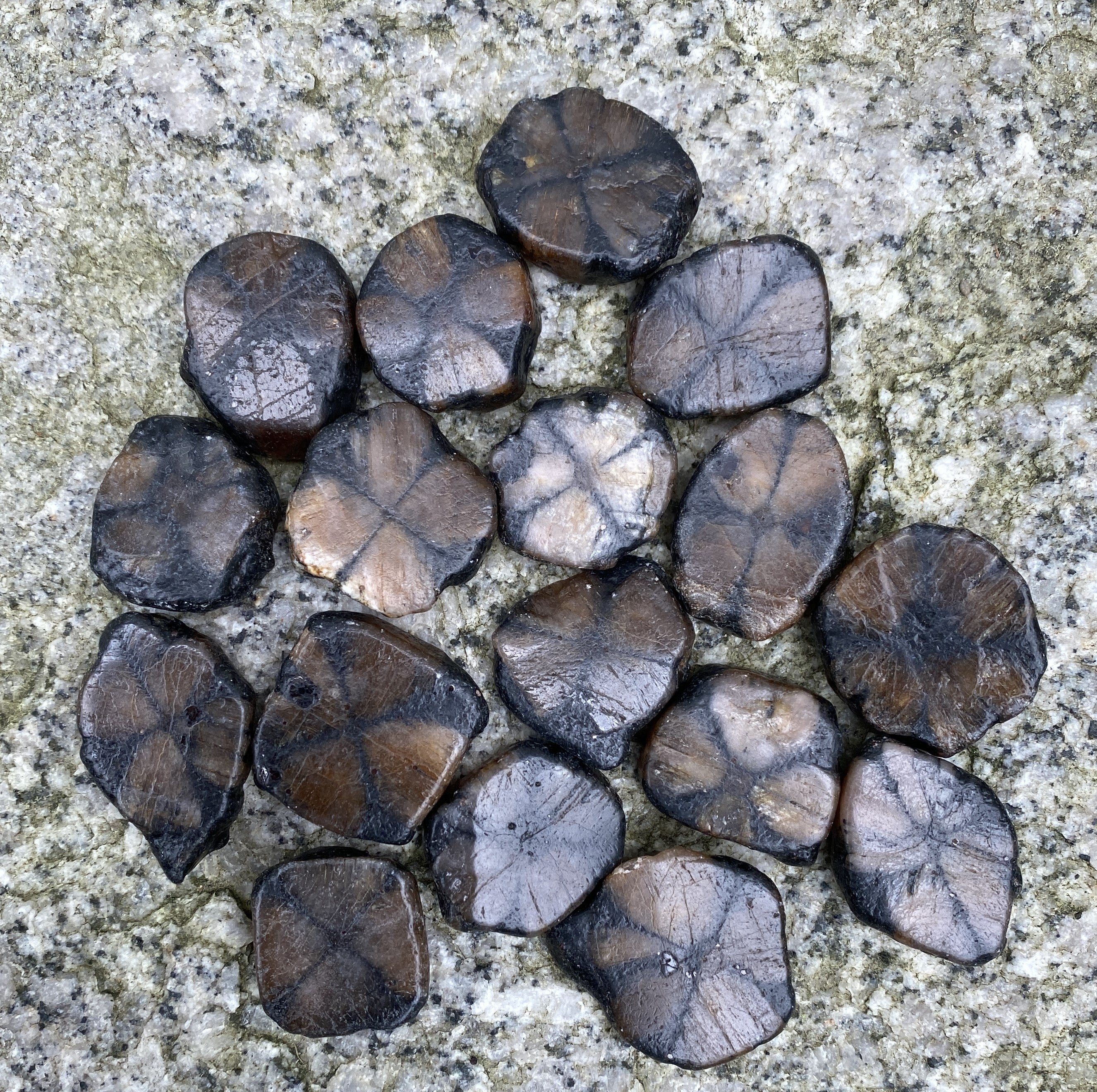 Chiastolite Cross Stone Andalusite  2 pcs  Protection Grounding 31649S