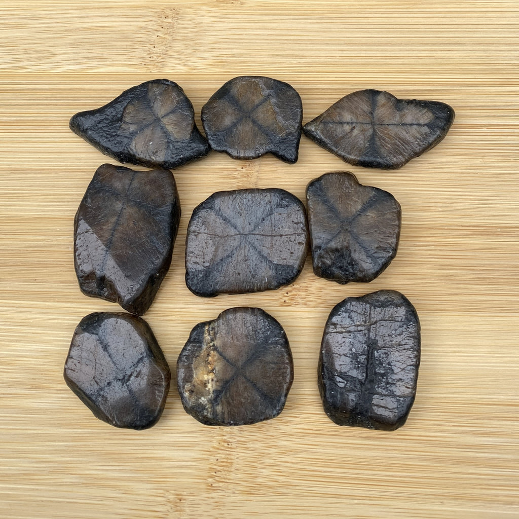 Chiastolite Cross Stone  Andalusite  Protection Grounding 31645S