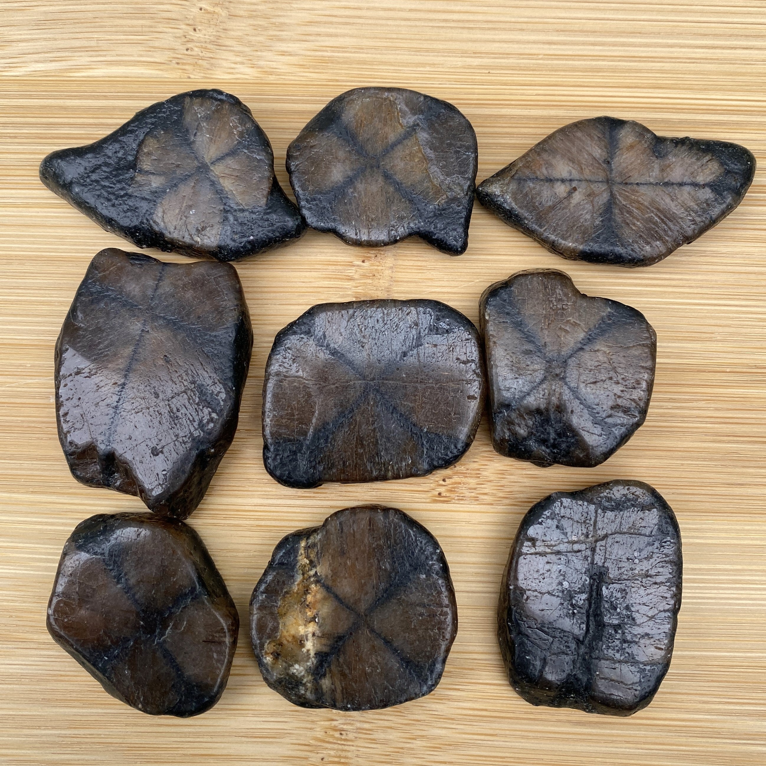 Chiastolite Cross Stone  Andalusite  Protection Grounding 31645S