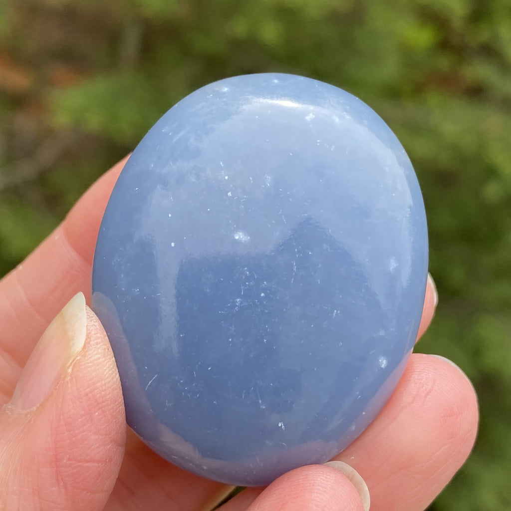 Angelite Palm Stone  Blue  Angels Intuition Communication 31646S