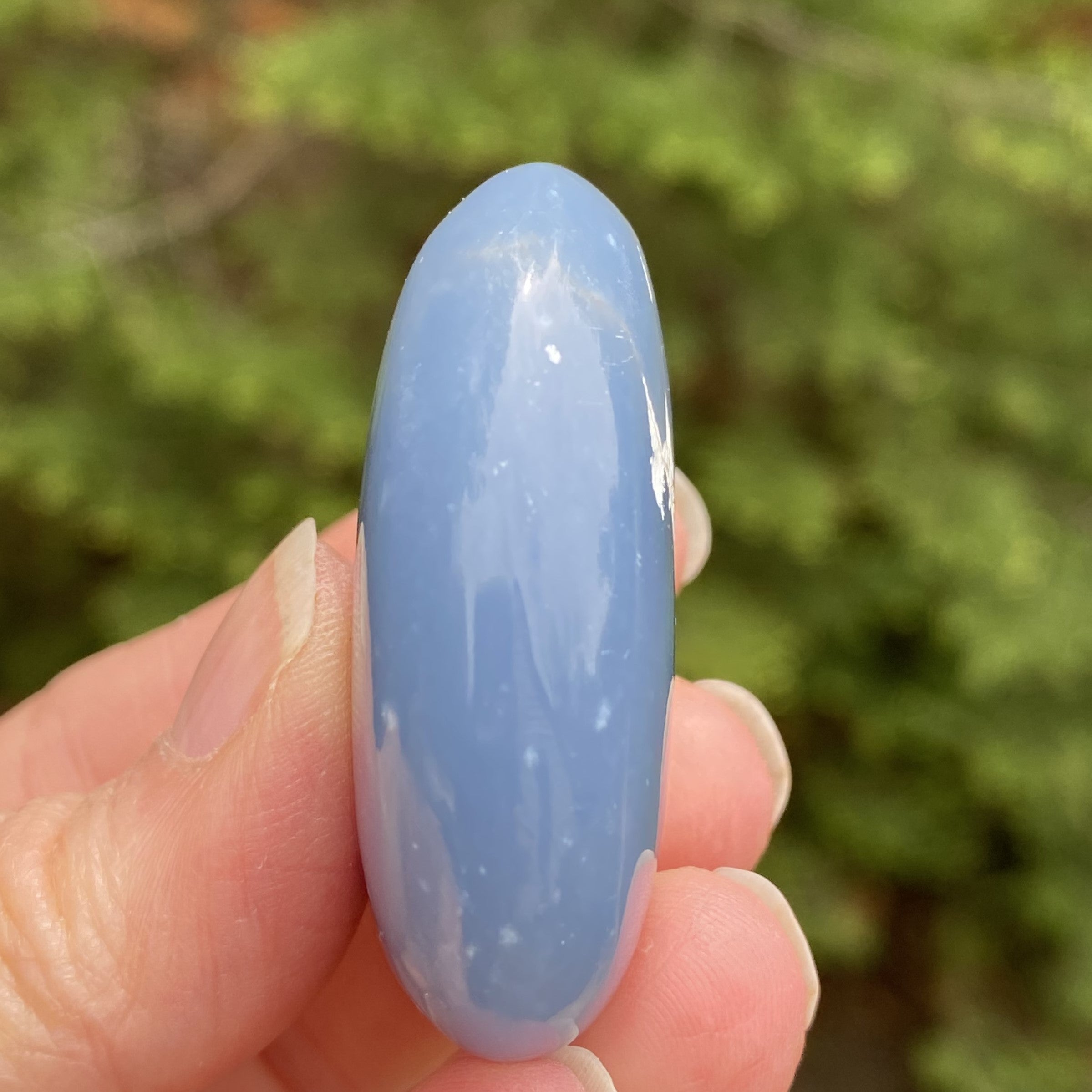 Angelite Palm Stone  Blue  Angels Intuition Communication 31646S