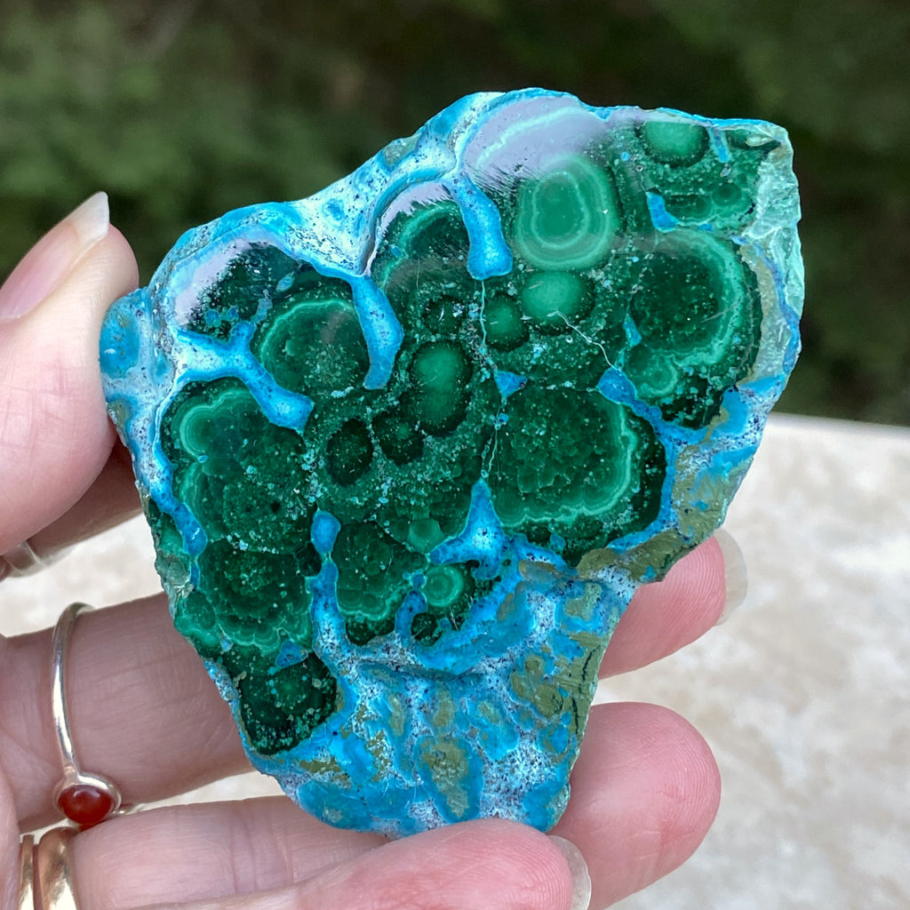Malachite with Chrysocolla Slab  Grounding Peace Intuition 31675S