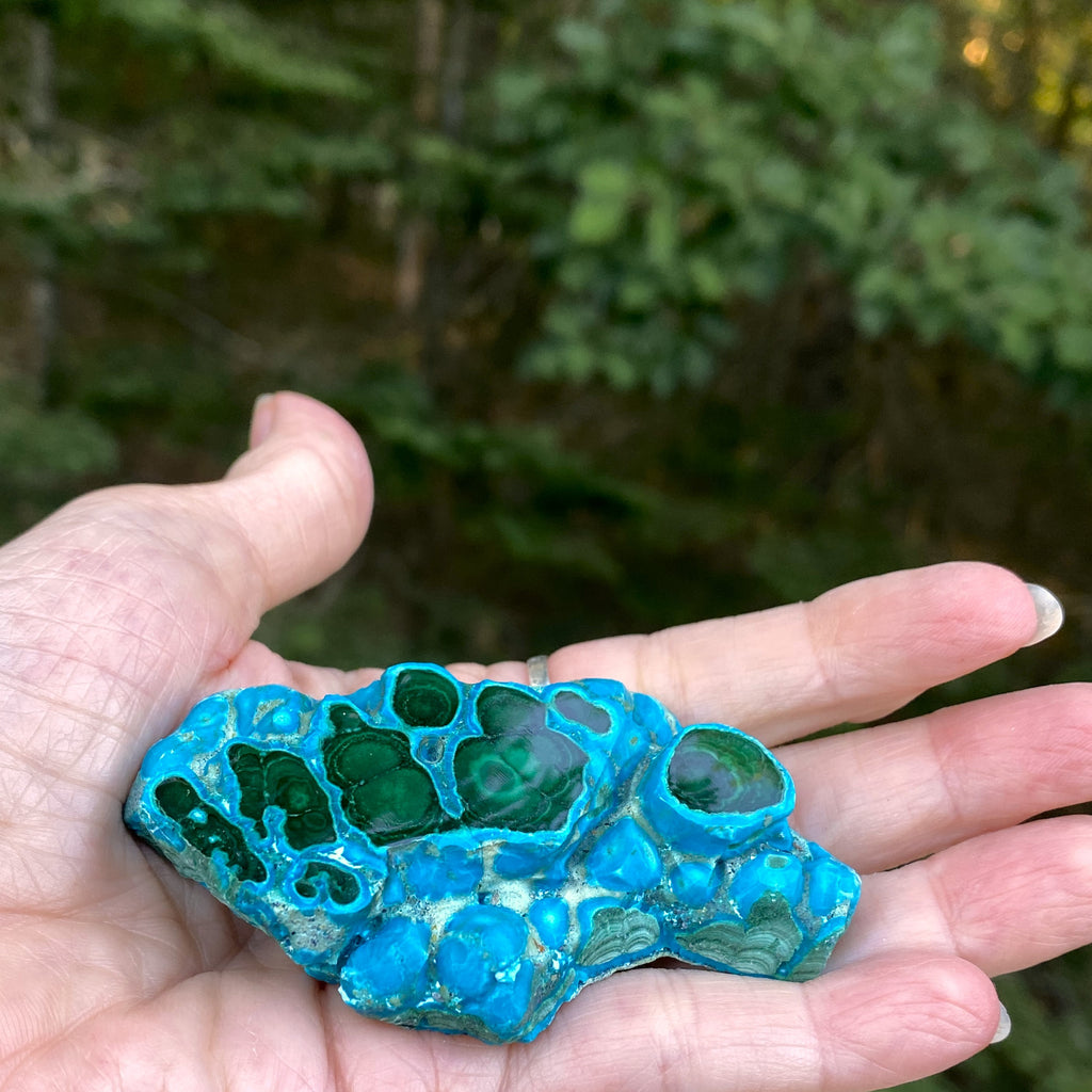Malachite with Chrysocolla Slab  Grounding Peace Intuition 31677S