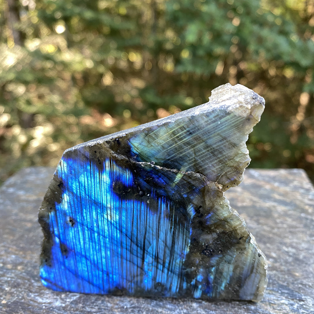 Labradorite Slab  Piece  Mystical Stone Intuition Protective 31708S