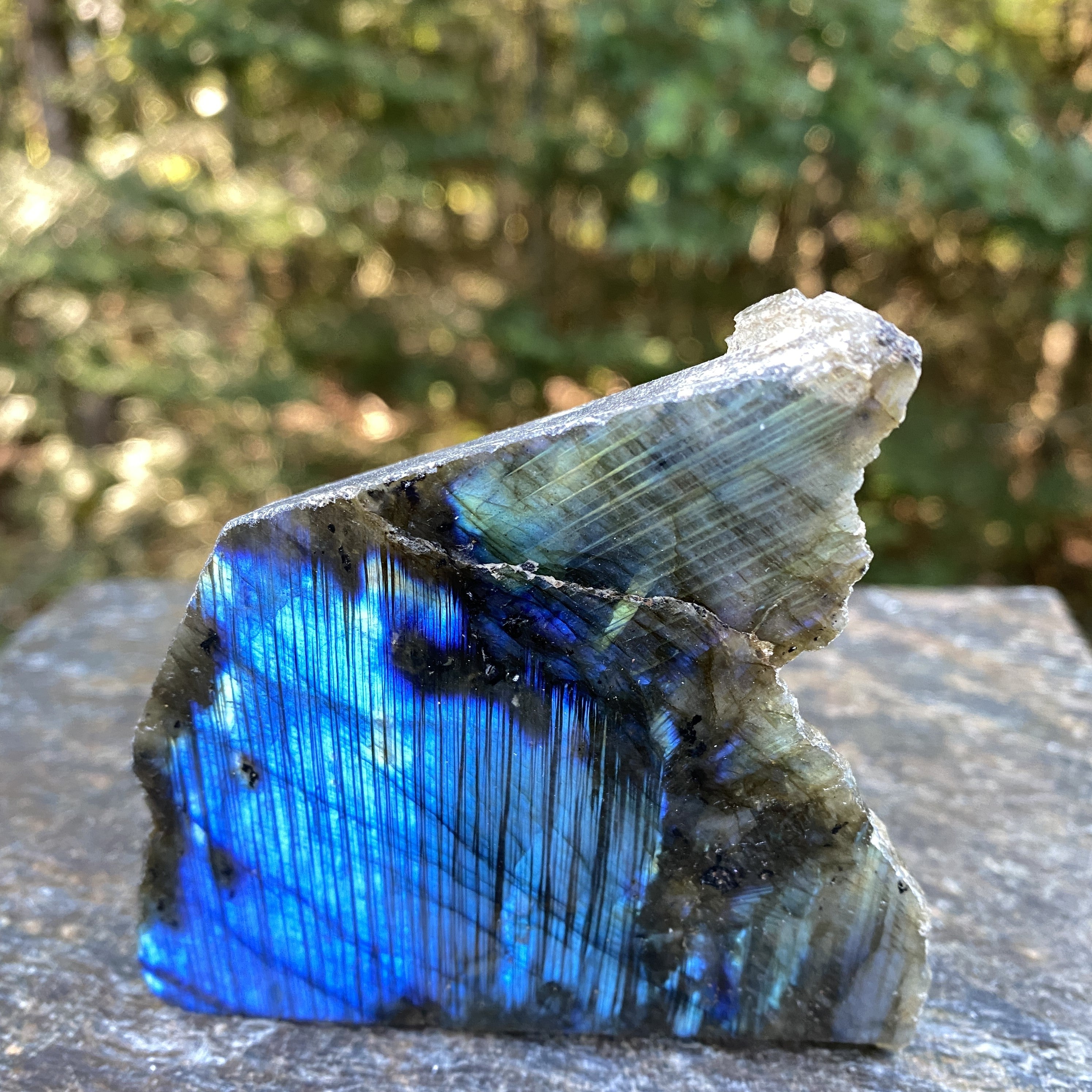 Labradorite Slab  Piece  Mystical Stone Intuition Protective 31708S