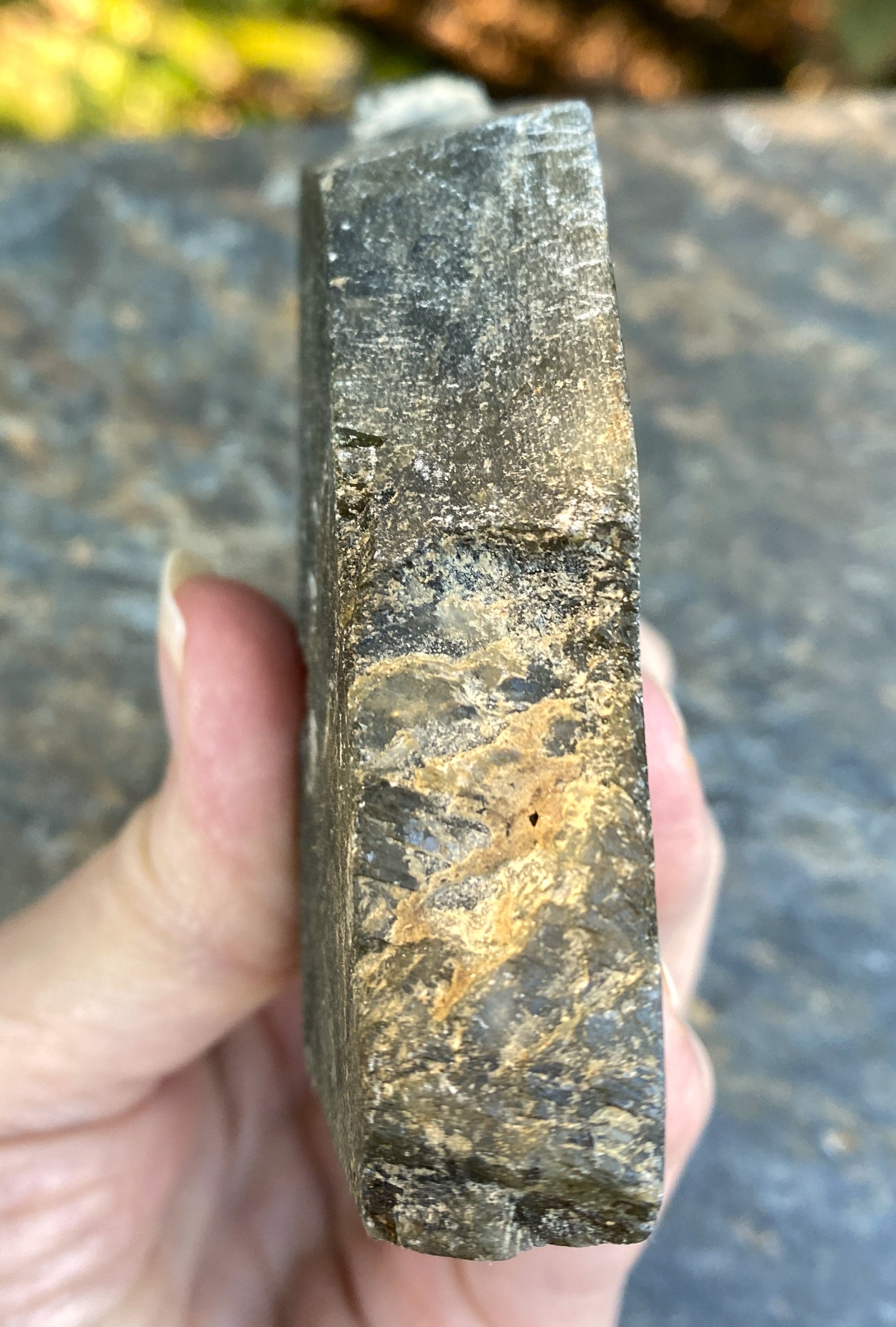 Labradorite Slab  Piece  Mystical Stone Intuition Protective 31708S