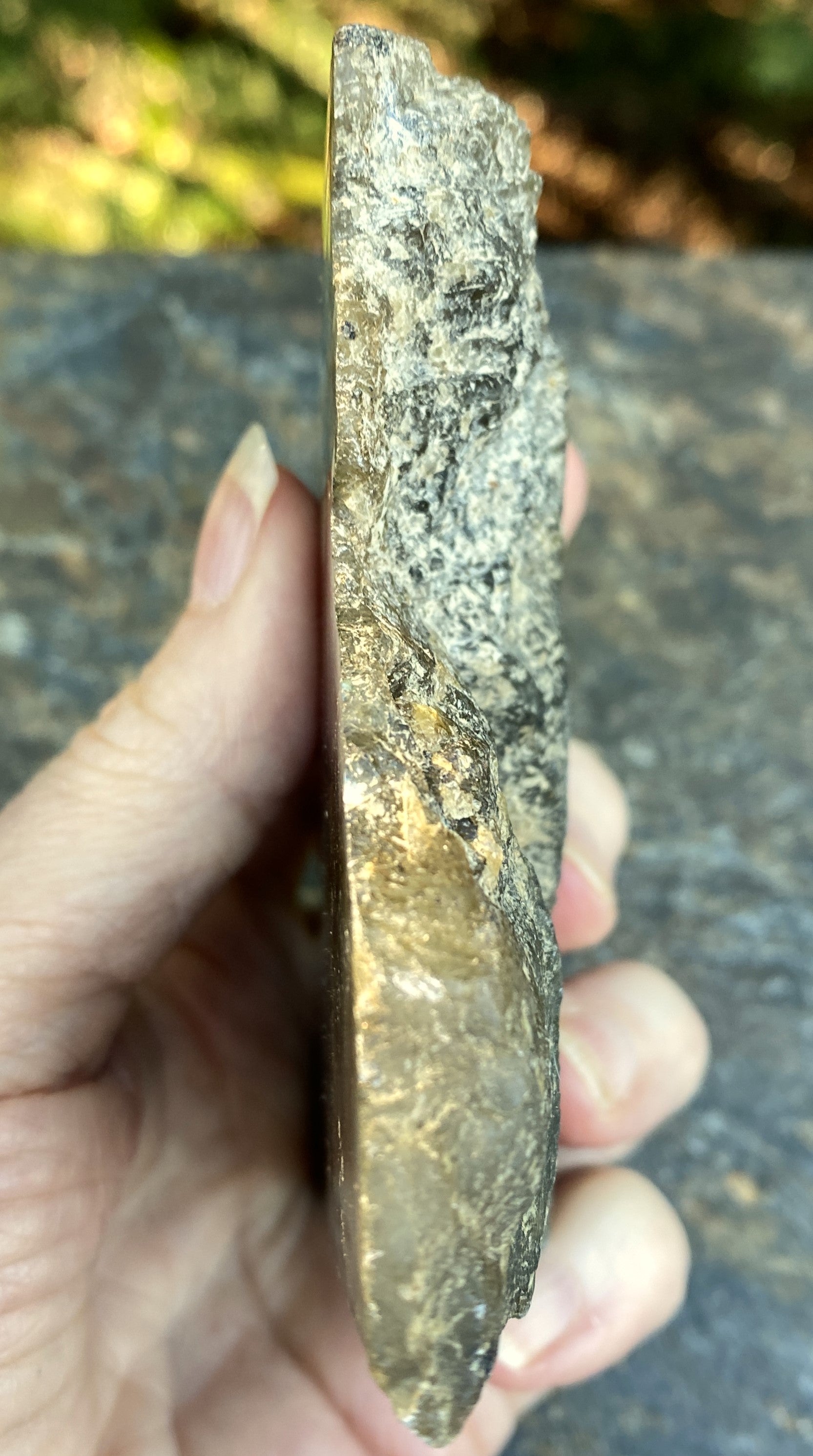 Labradorite Slab  Piece  Mystical Stone Intuition Protective 31708S