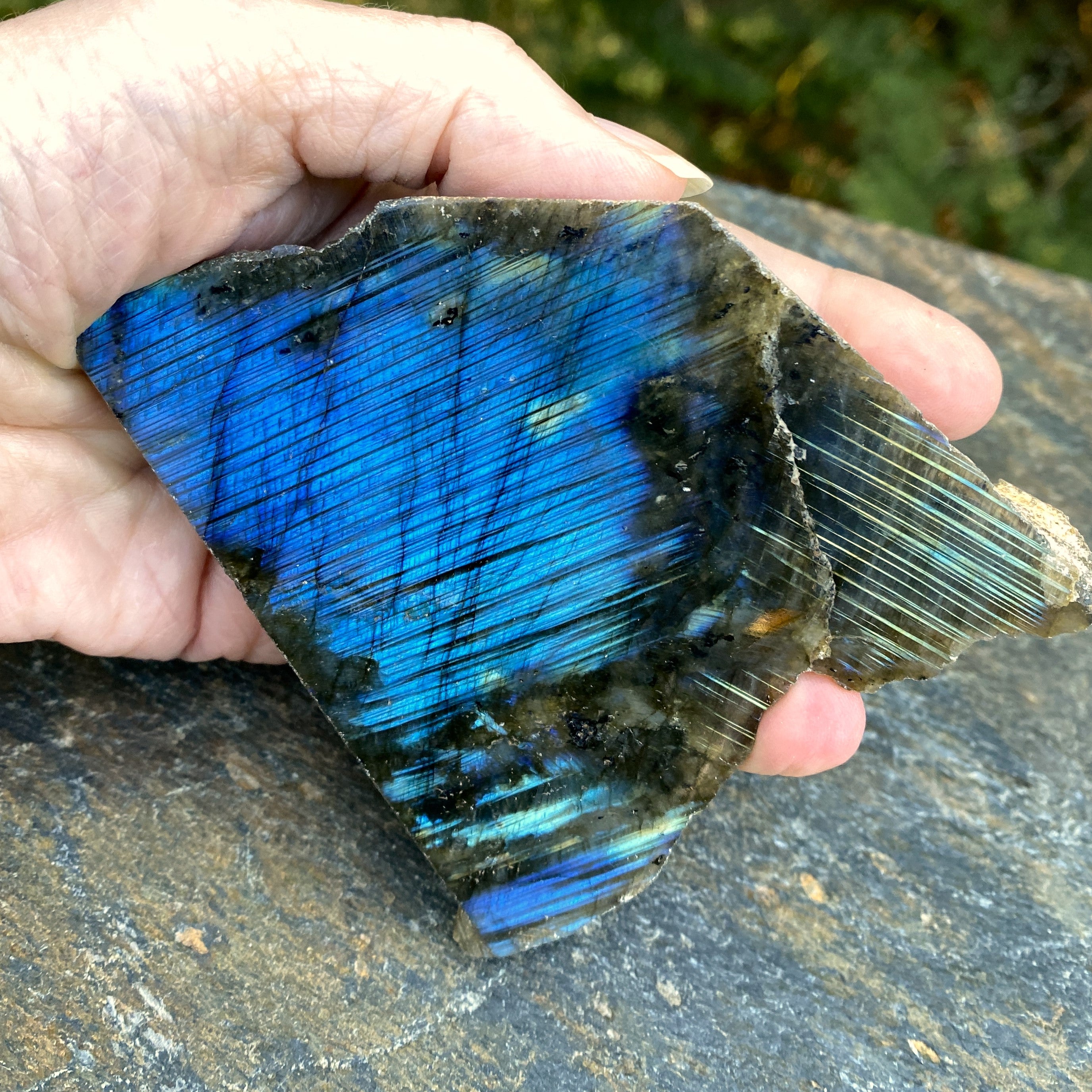 Labradorite Slab  Piece  Mystical Stone Intuition Protective 31708S
