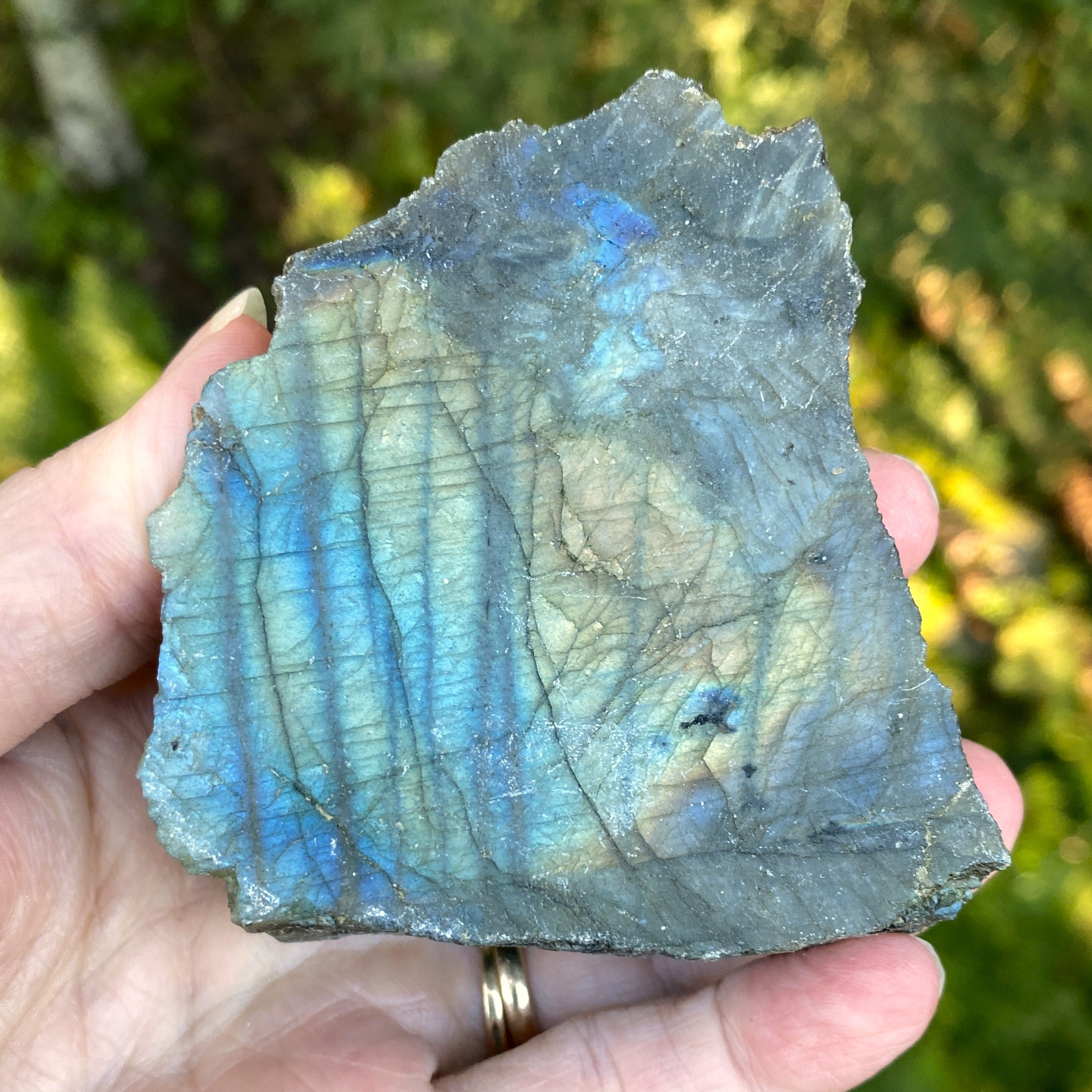 Labradorite Slab  Piece  Mystical Stone Intuition Protective 31709S