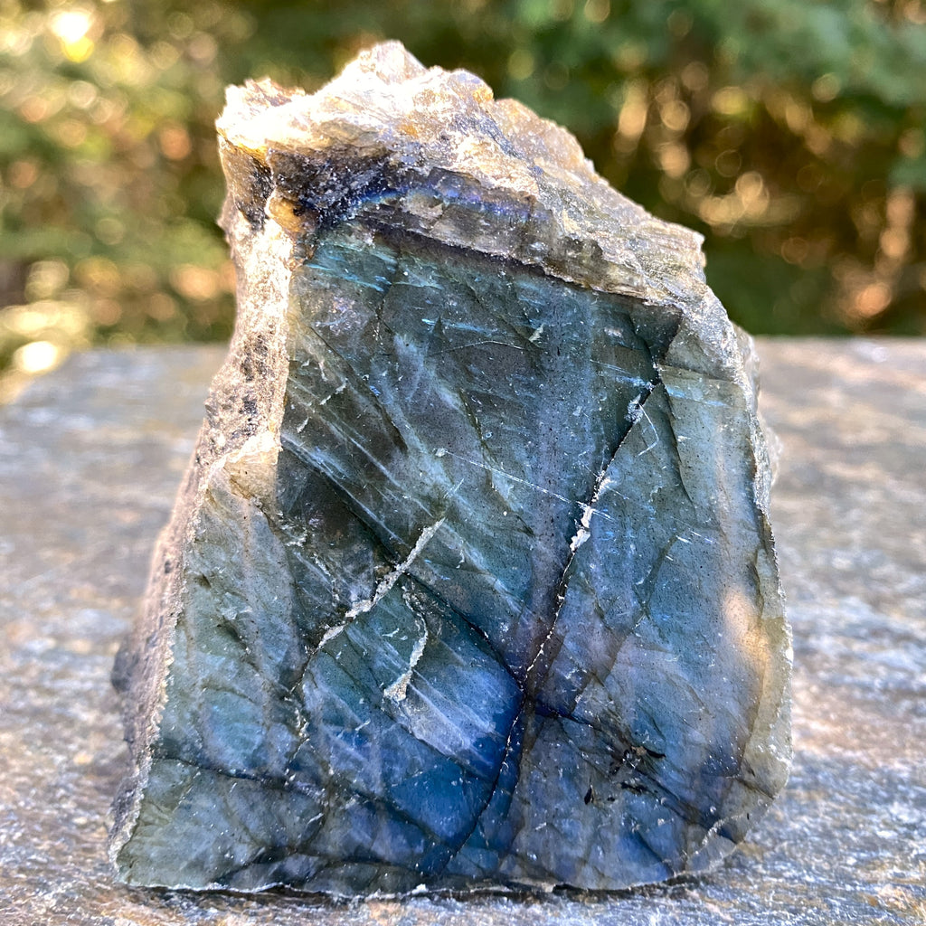 Labradorite Slab  Piece  Mystical Stone Intuition Protective 31709S