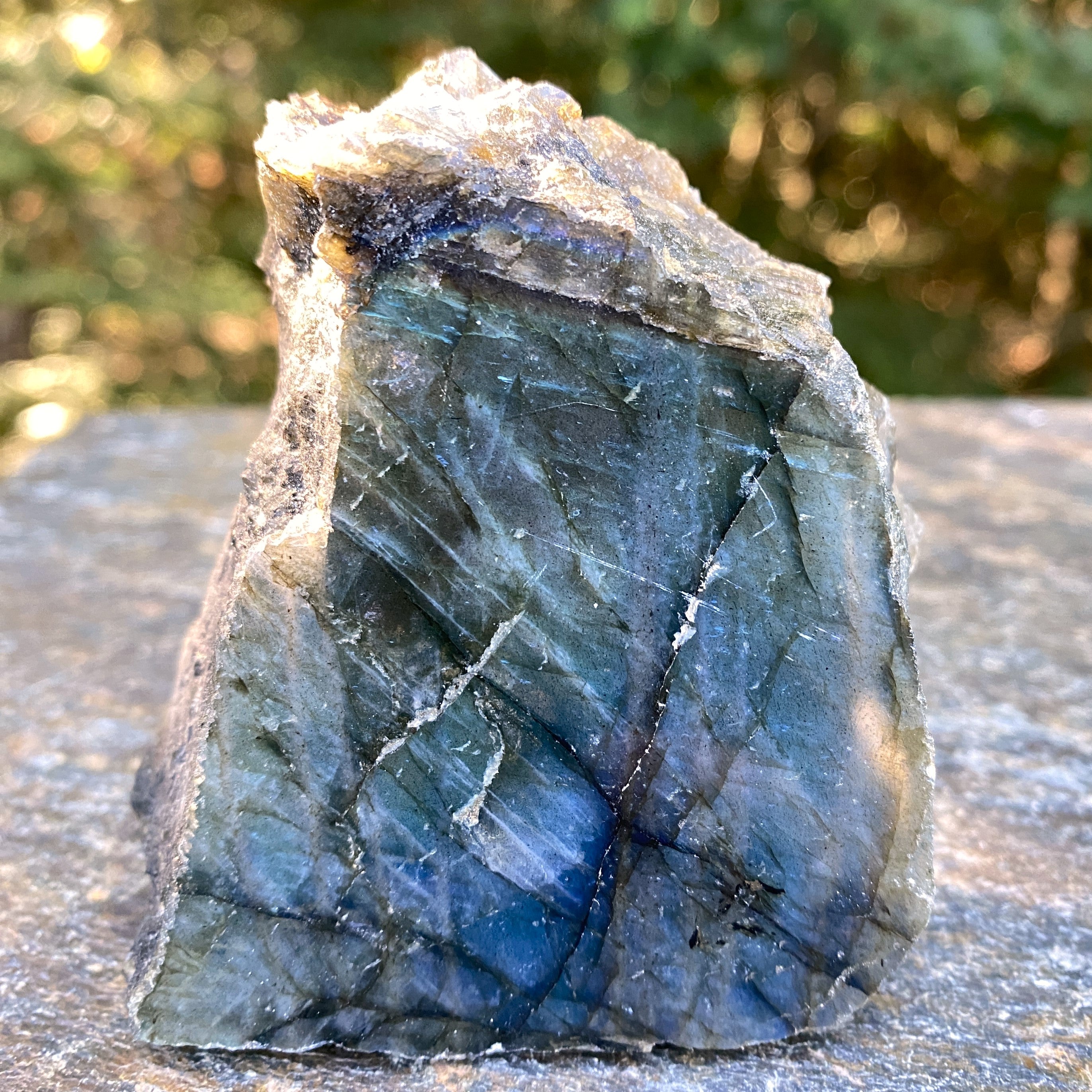 Labradorite Slab  Piece  Mystical Stone Intuition Protective 31709S