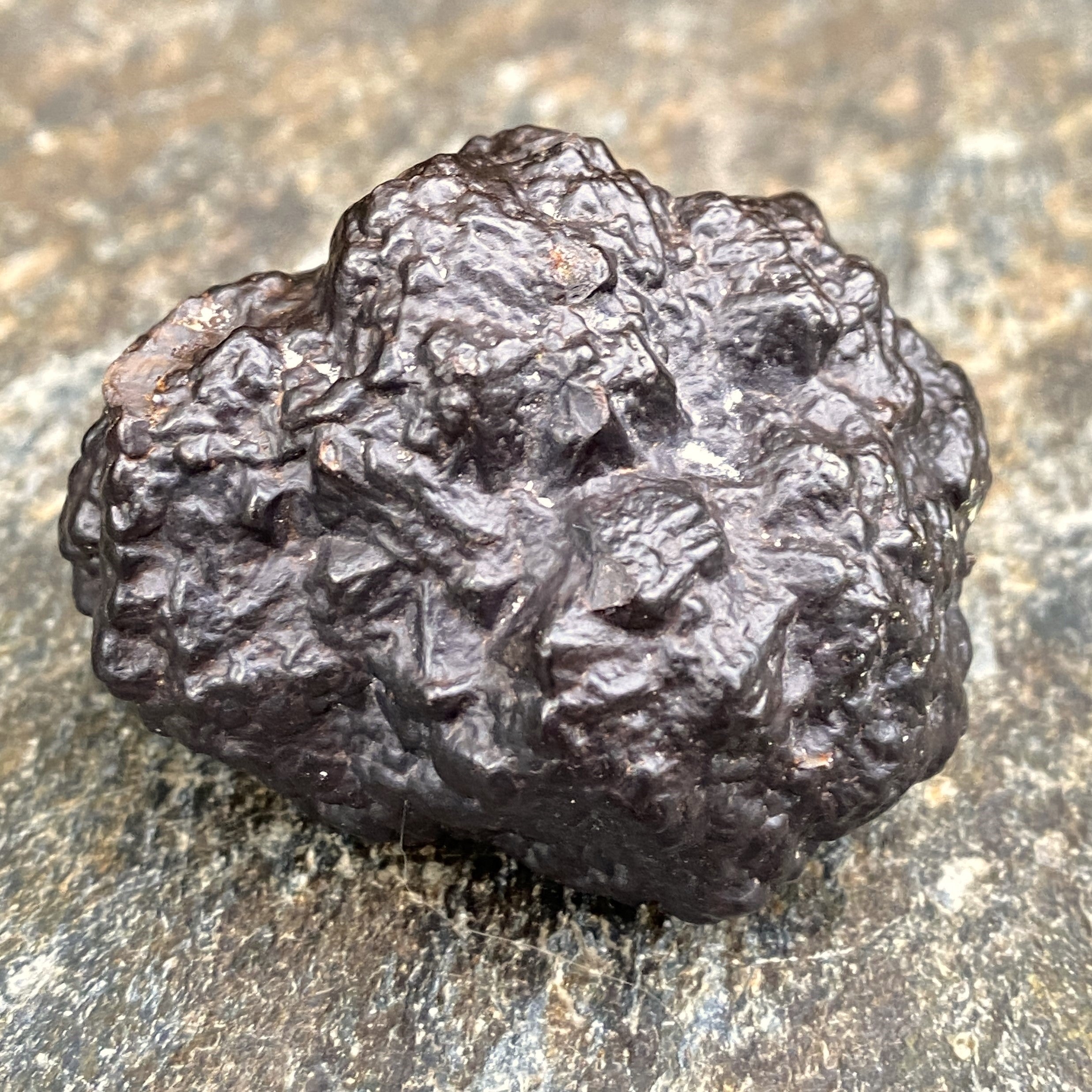 1 Rare Prophecy Stone Piece  Meditation Calm Memory 31710S
