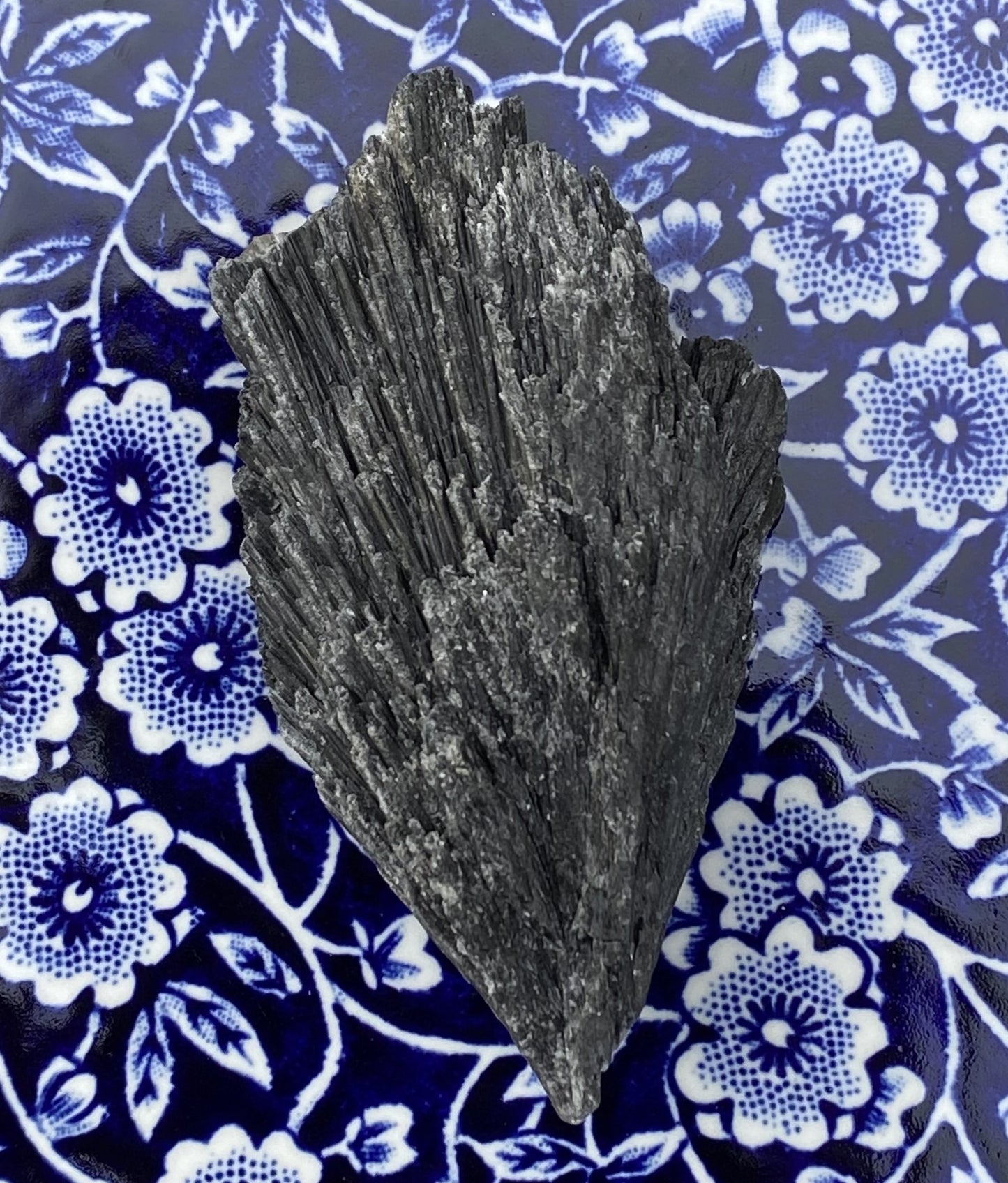 Kyanite Black Fan Blade  Raw  Healing Meditation 29429S