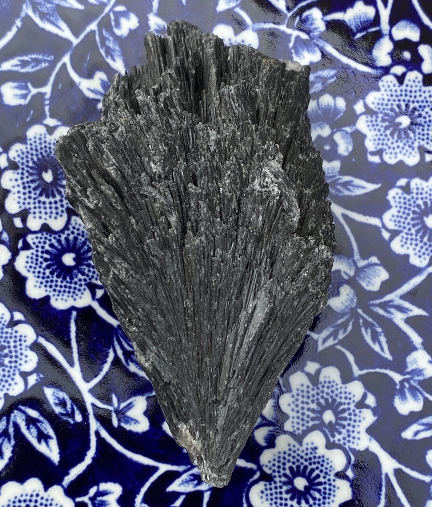 Kyanite Black Fan Blade  Raw  Healing Meditation 29429S