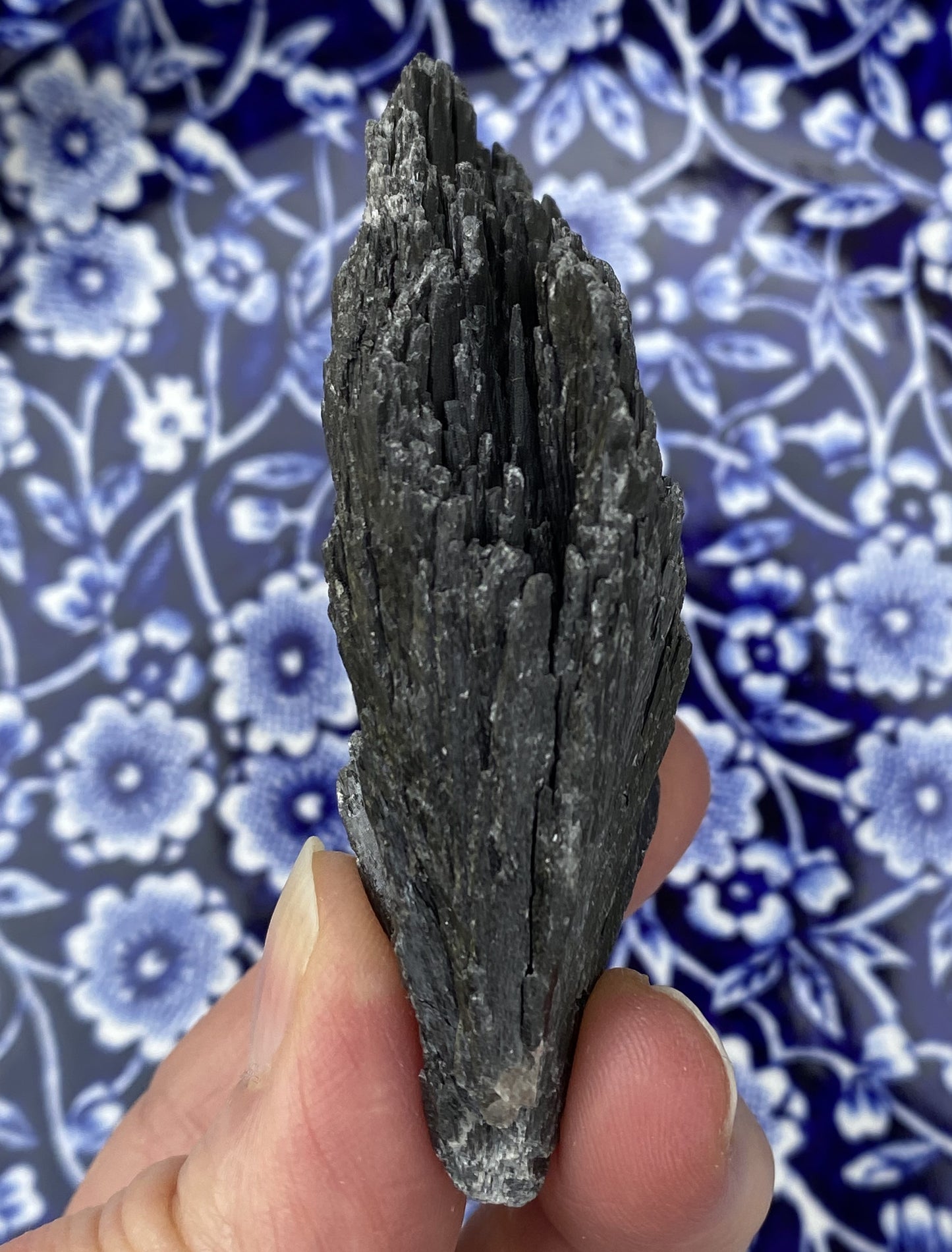 Kyanite Black Fan Blade  Raw  Healing Meditation 29429S