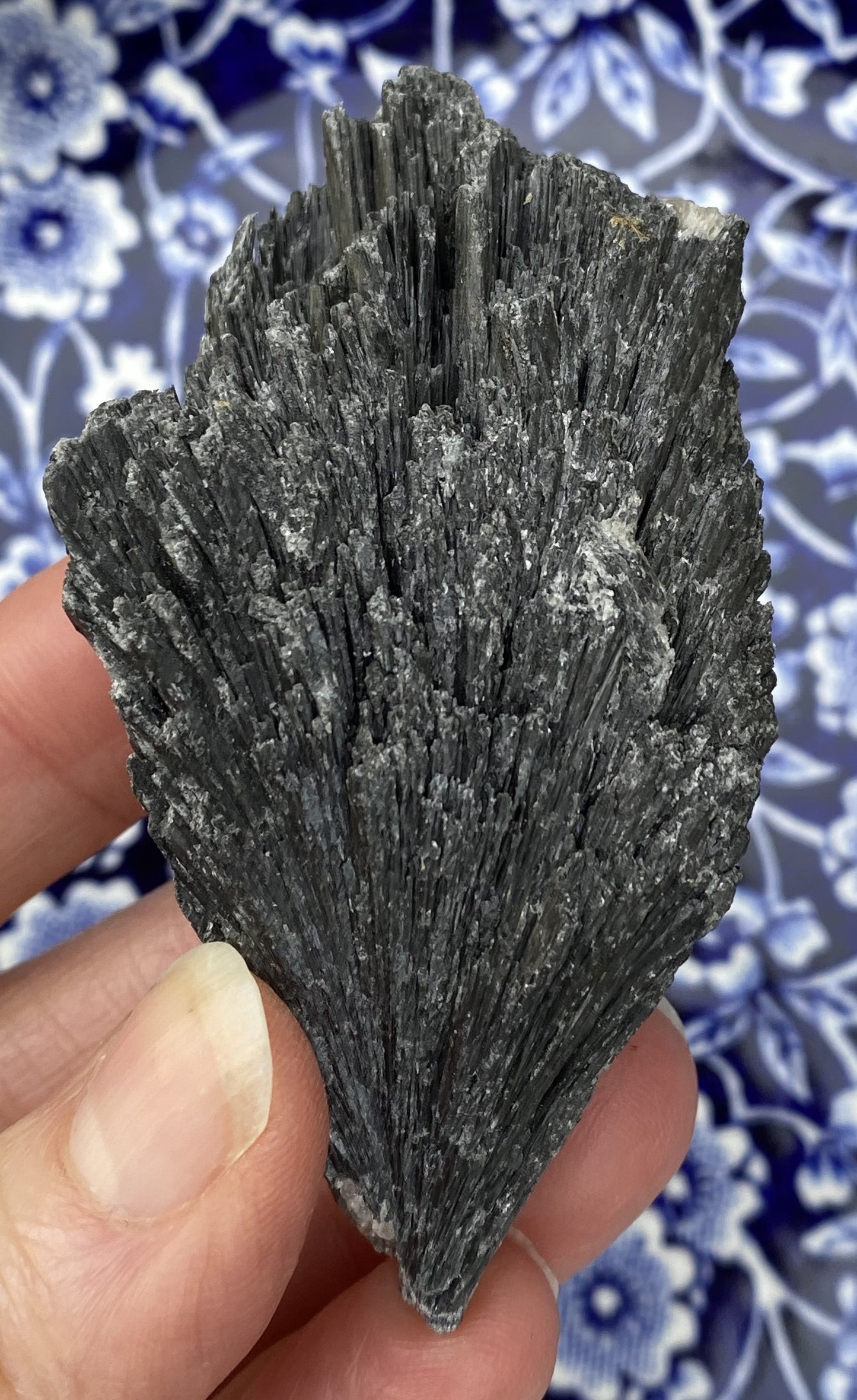 Kyanite Black Fan Blade  Raw  Healing Meditation 29429S