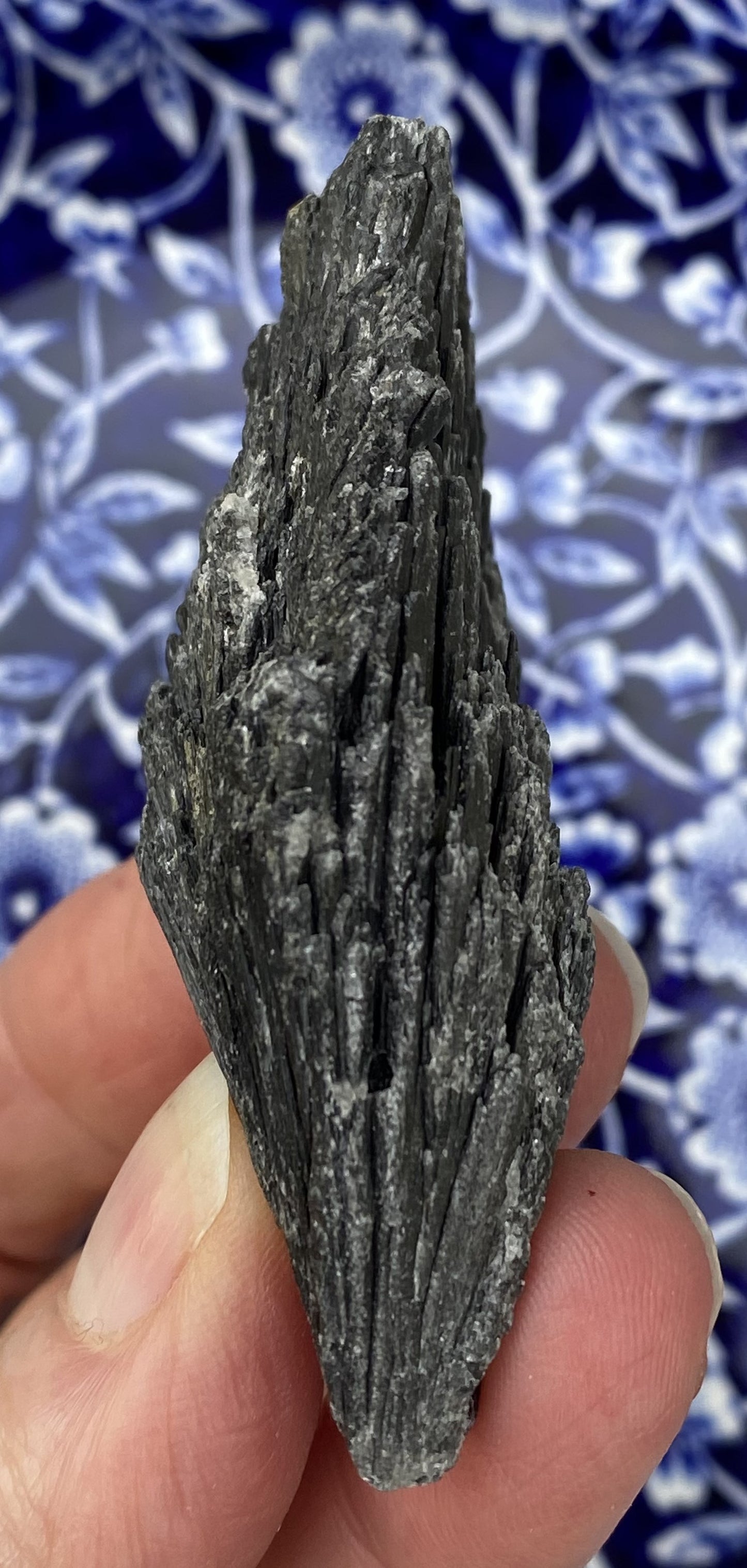 Kyanite Black Fan Blade  Raw  Healing Meditation 29429S