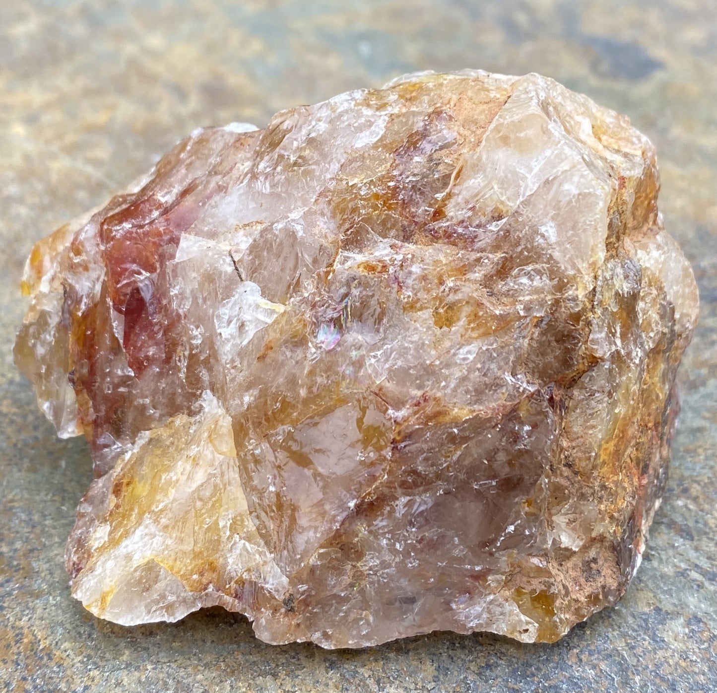 Golden Healer Quartz Red Hematite Inclusions Raw Healing Protection 29490S