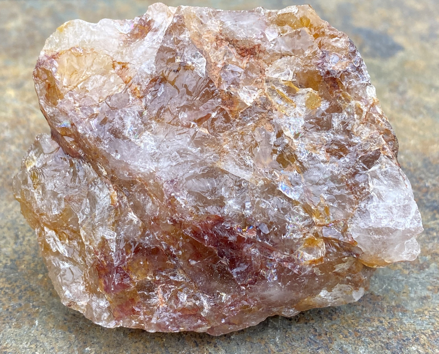 Golden Healer Quartz Red Hematite Inclusions Raw Healing Protection 29490S