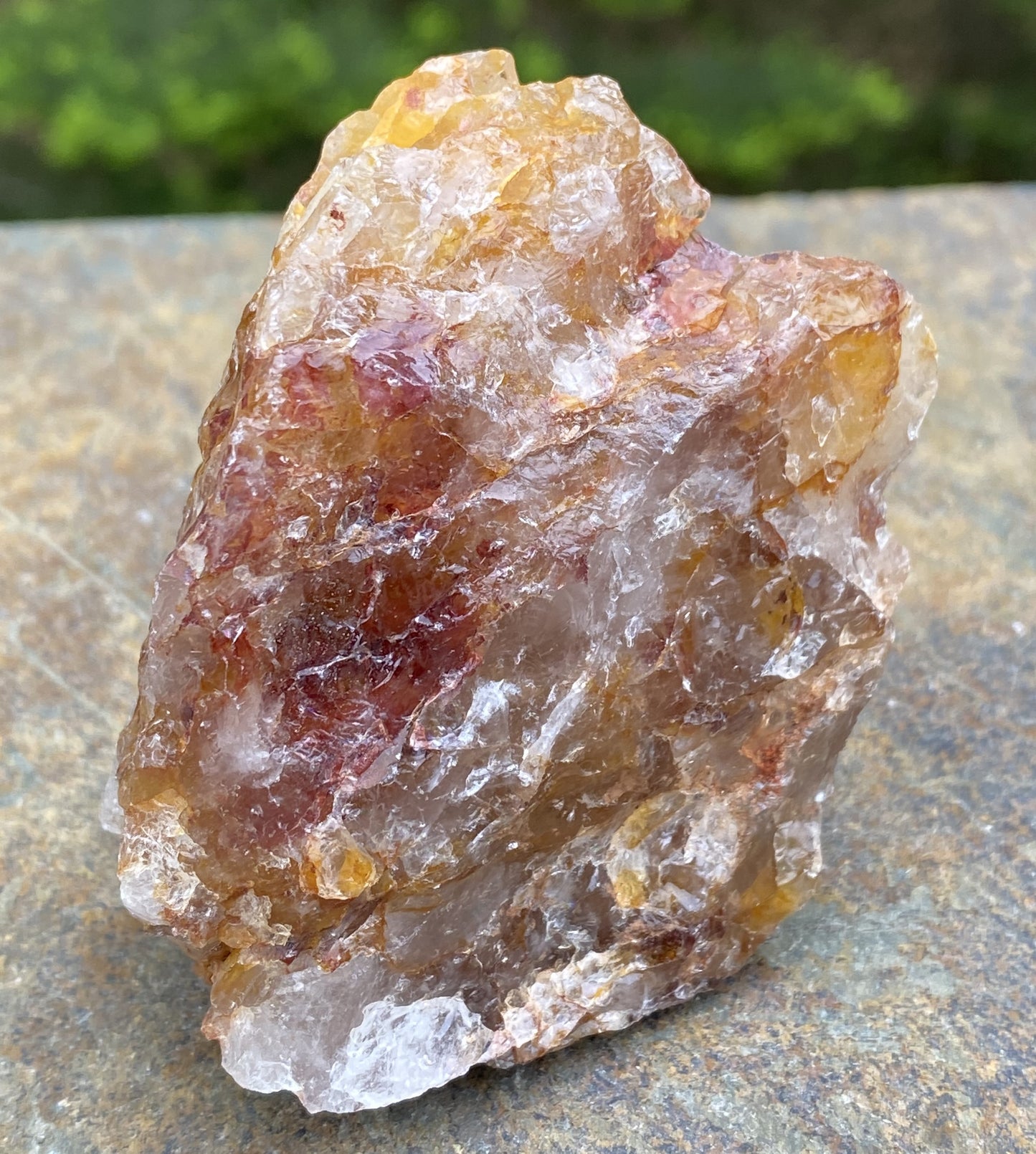 Golden Healer Quartz Red Hematite Inclusions Raw Healing Protection 29490S