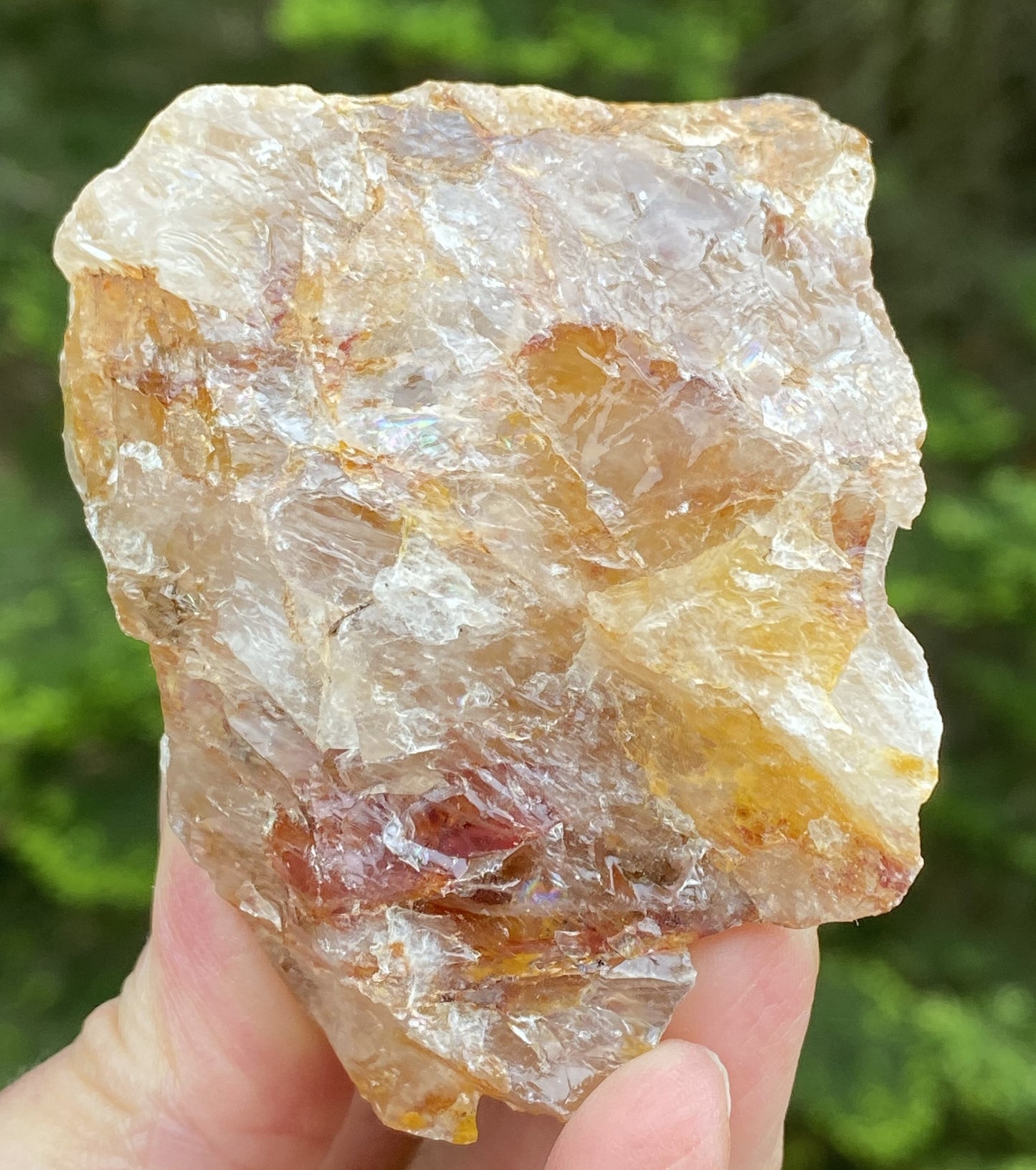 Golden Healer Quartz Red Hematite Inclusions Raw Healing Protection 29490S