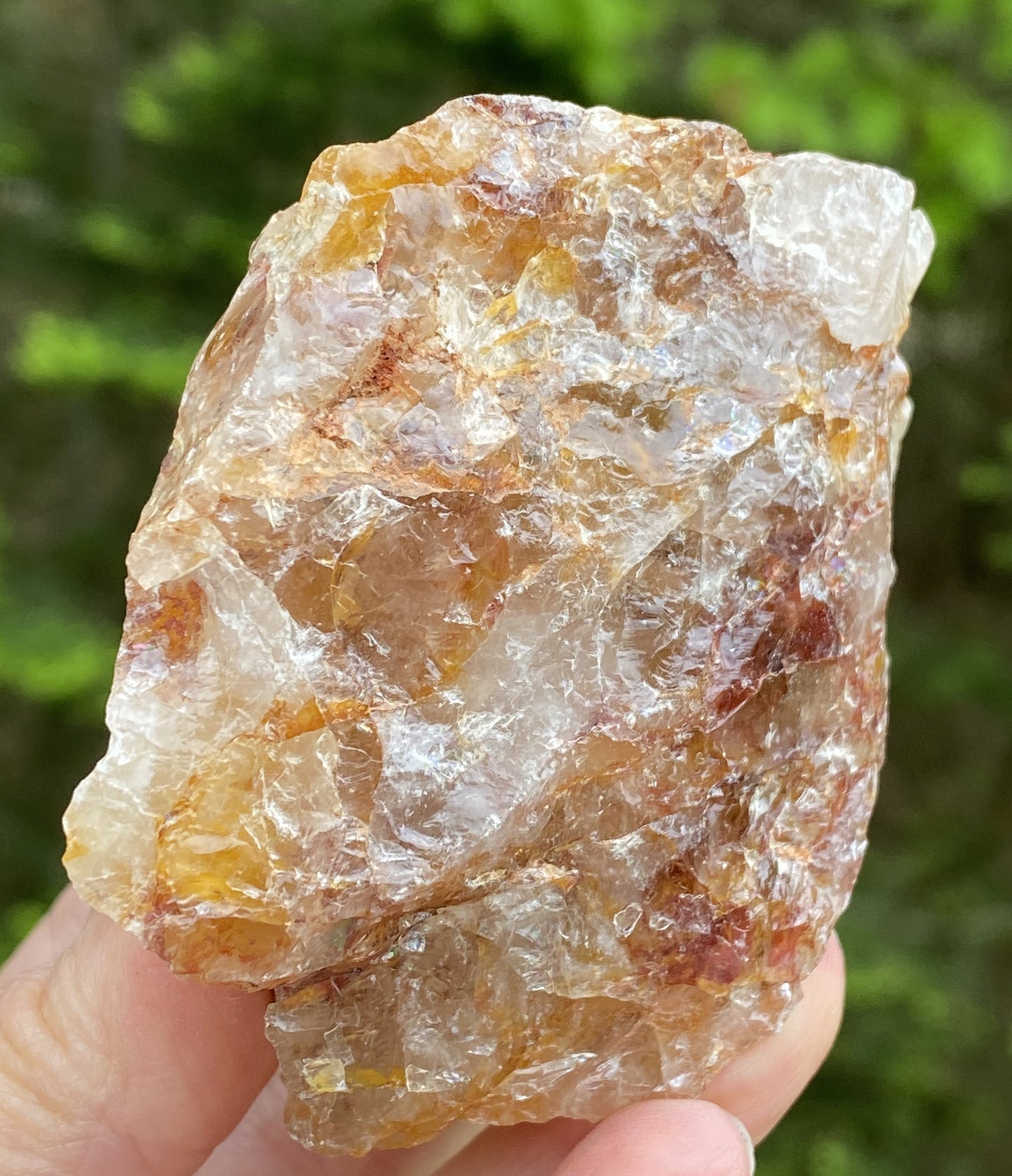 Golden Healer Quartz Red Hematite Inclusions Raw Healing Protection 29490S