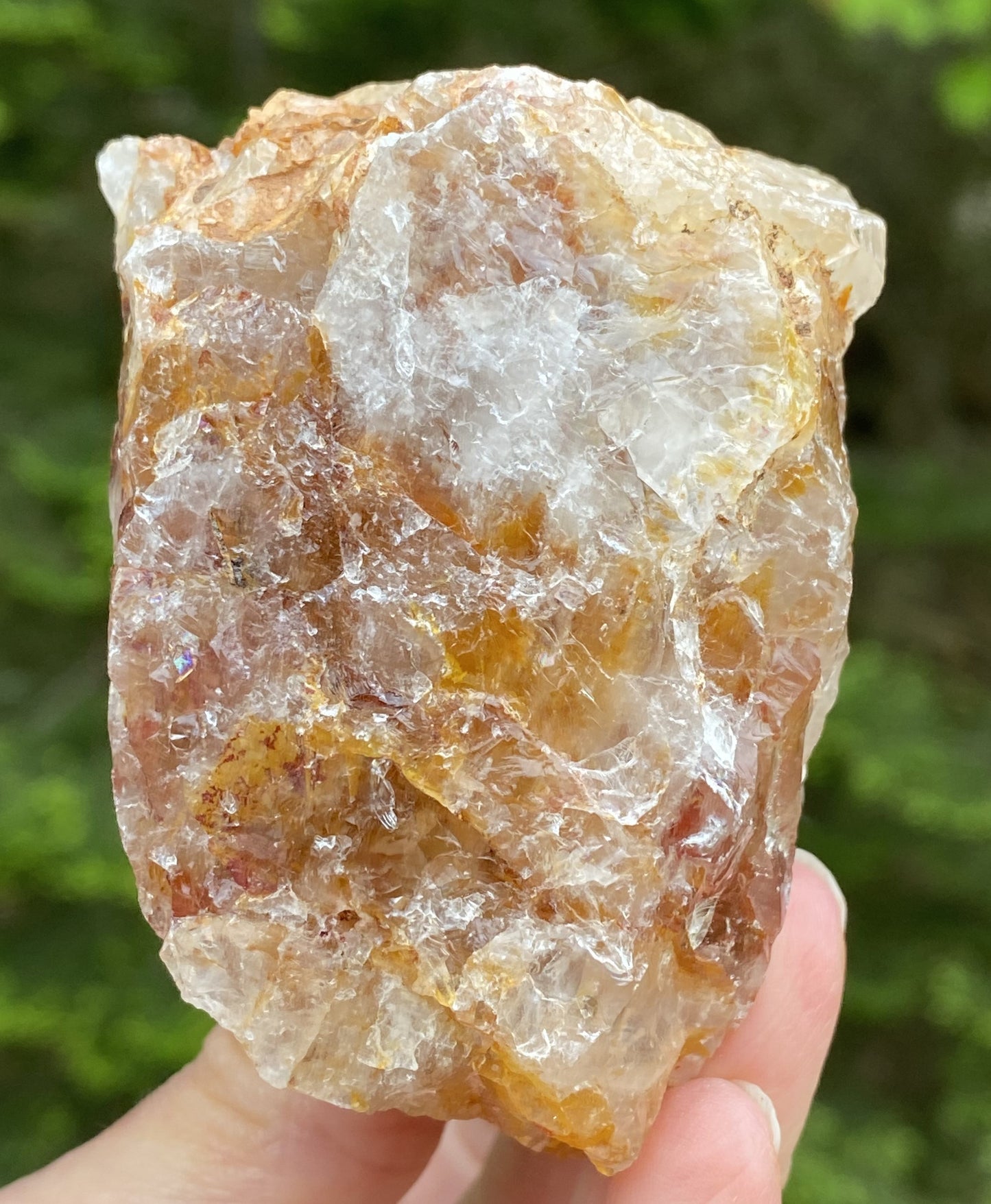 Golden Healer Quartz Red Hematite Inclusions Raw Healing Protection 29490S