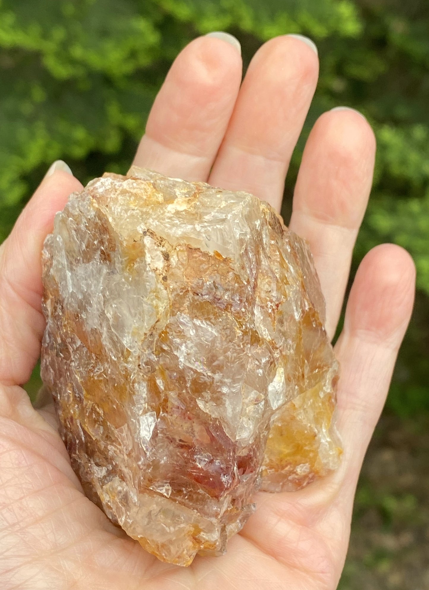 Golden Healer Quartz Red Hematite Inclusions Raw Healing Protection 29490S