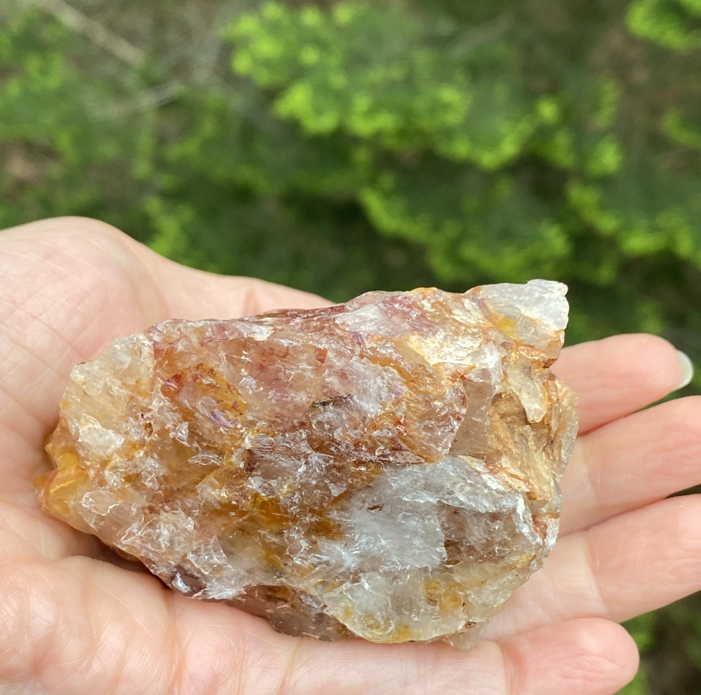 Golden Healer Quartz Red Hematite Inclusions Raw Healing Protection 29490S