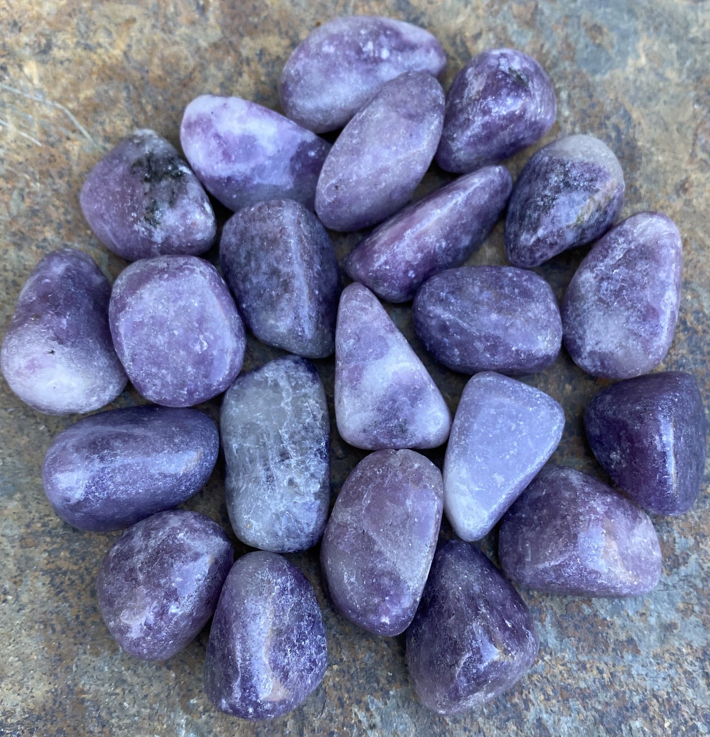 Lepidolite Pocket Stones  2 pieces  Emotional Balance Calm 29474S