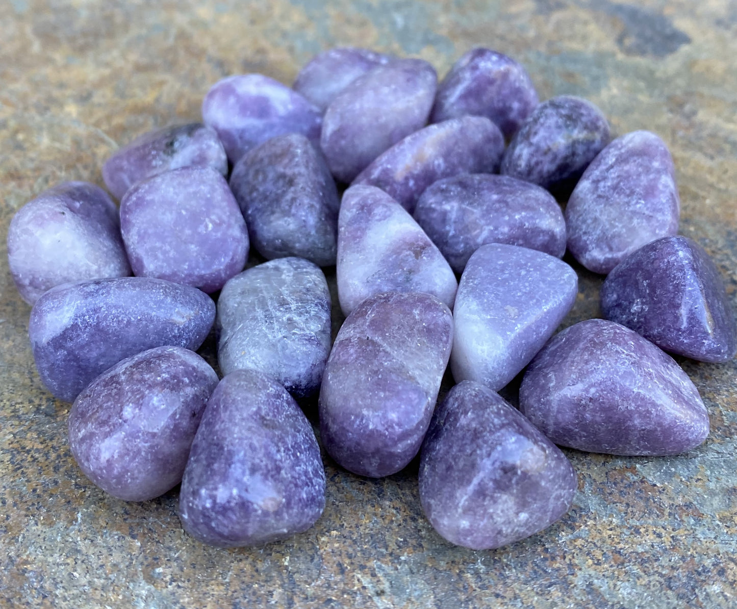 Lepidolite Pocket Stones  2 pieces  Emotional Balance Calm 29474S