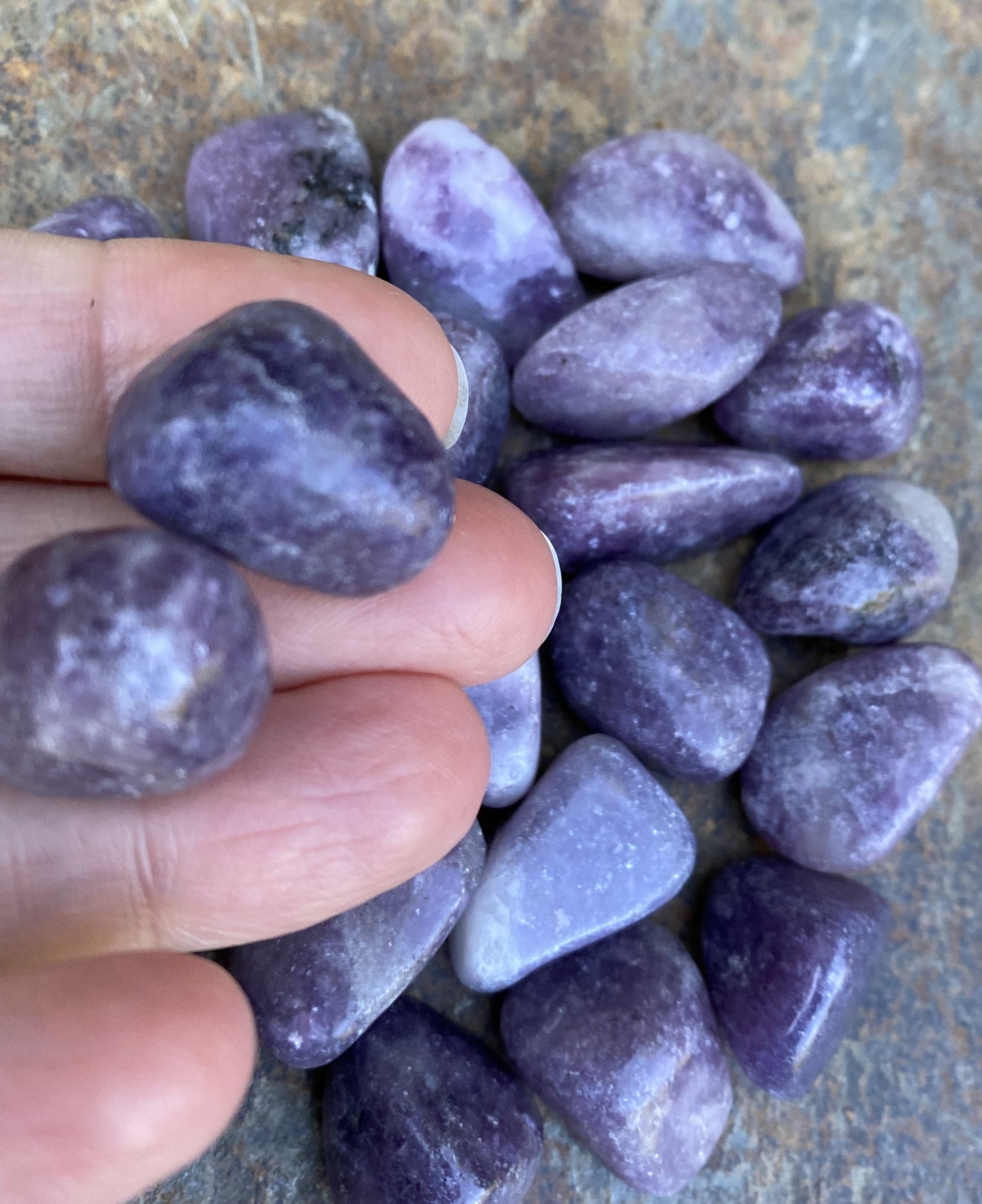 Lepidolite Pocket Stones  2 pieces  Emotional Balance Calm 29474S