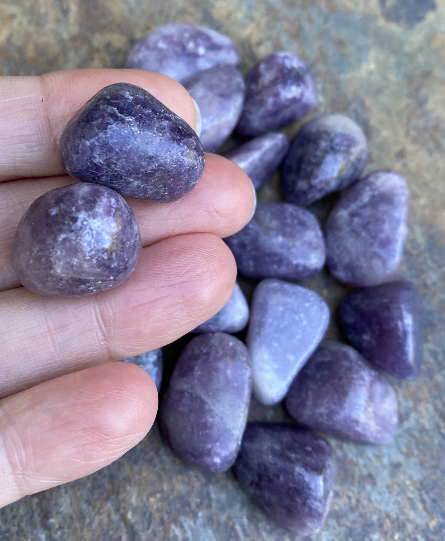 Lepidolite Pocket Stones  2 pieces  Emotional Balance Calm 29474S