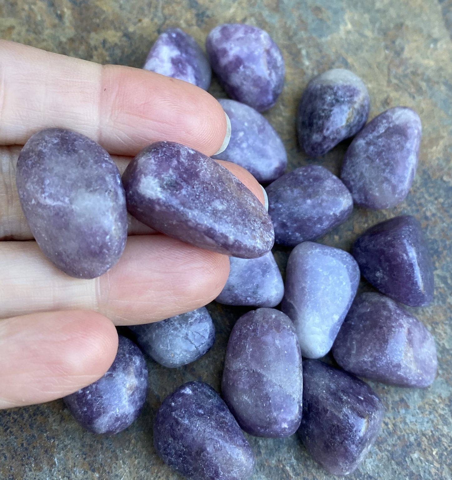 Lepidolite Pocket Stones  2 pieces  Emotional Balance Calm 29474S