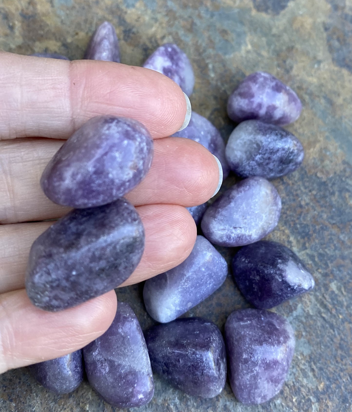 Lepidolite Pocket Stones  2 pieces  Emotional Balance Calm 29474S