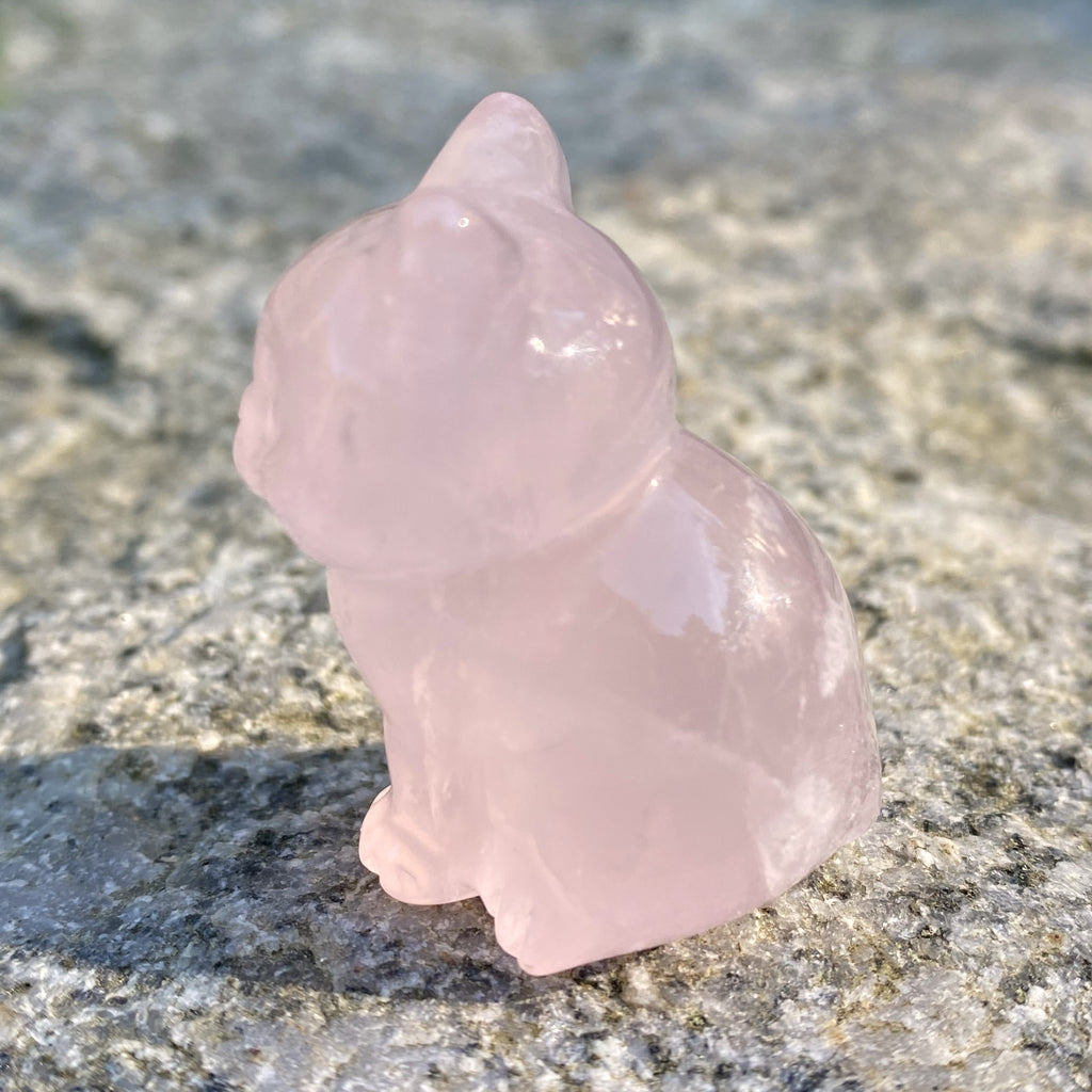 Rose Quartz  Kitten Cat  Figurine Love Compassion 30916S