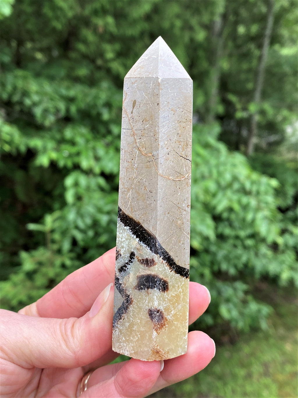 Septarian Tower Point  Grounding Communication 30662S